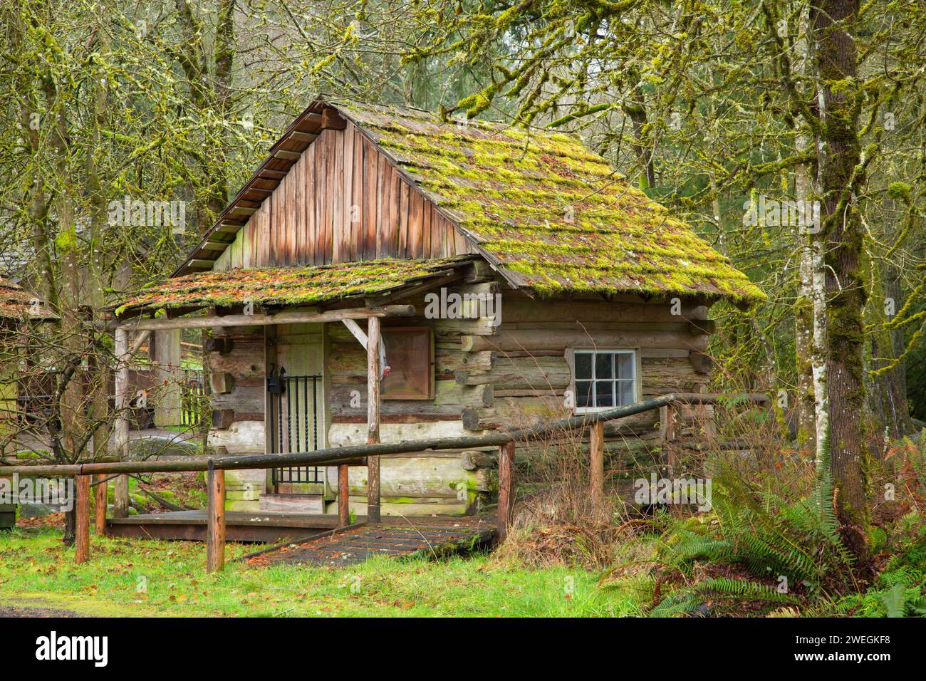 Hütte, Pioneer Farm Museum, Eatonville, Washington Stockfoto
