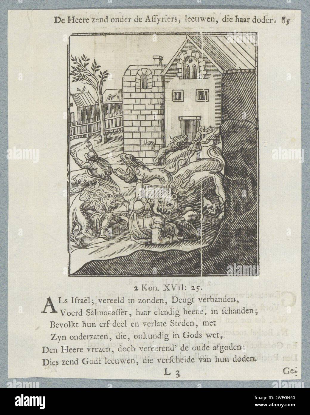 Löwen töten Bewohner Samarias, 1740 Druck der König von Assyrien schickte Menschen aus Babel, Kuta, AWWA, Hamat und Sefarwaim in die Städte Samaria, wo er auf sie hoffte, anstatt auf die Israeliten. Diese Leute nahmen Samaria in Besitz und zogen dorthin. Das erste Mal, als sie dort lebten, verehrten sie den Herrn nicht. Deshalb hat Herr Leeuwen sie losgelassen, der einige von ihnen zerrissen hat. Ein Titel über der Show. Darunter sechs Verse und ein Verweis auf 2 Könige 17:25. Der Ausdruck ist Teil eines Albums. Von Gott gesandte Löwen töten einige der neuen Bewohner Samarias Stockfoto