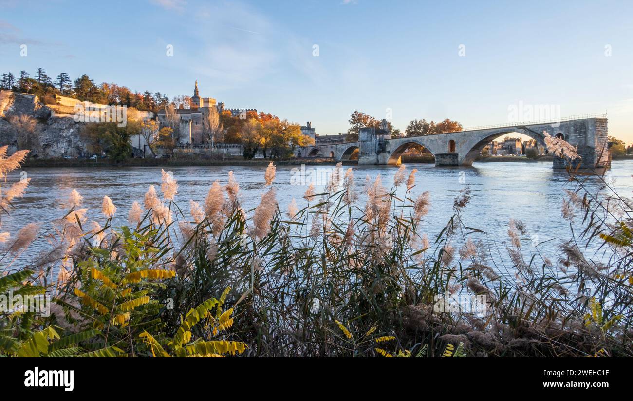 Avignon und seine berühmte Brücke, mittelalterliche päpstliche Stadt an der Rhone. Fotografie, aufgenommen in Frankreich im Herbst Stockfoto