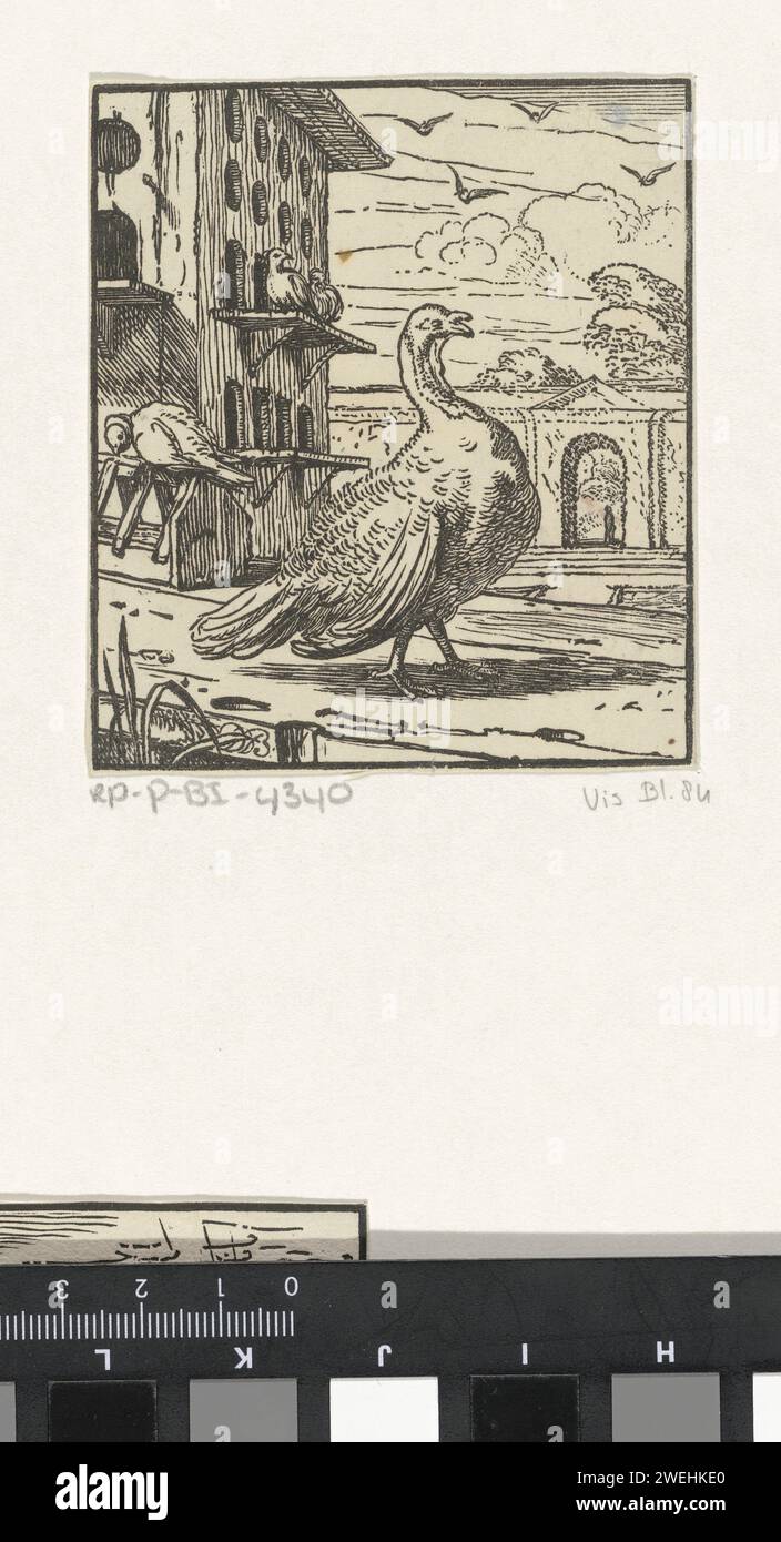 Truthahn, Dirck de Bray, 1660 - 1662 Druckpapier Walker and Runner Birds: truthahn Stockfoto