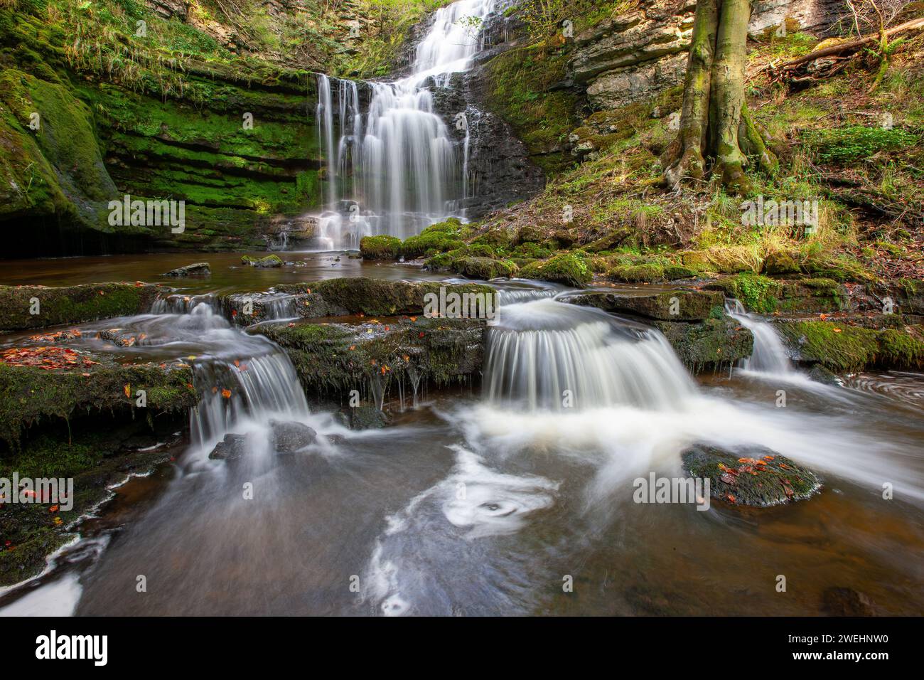 Skaleber-Kraft. Ein Wasserfall in den North Yorkshire Dales nahe der Siedlung. Yorkshire Dales National Park, Yorkshire, England, Vereinigtes Königreich Stockfoto