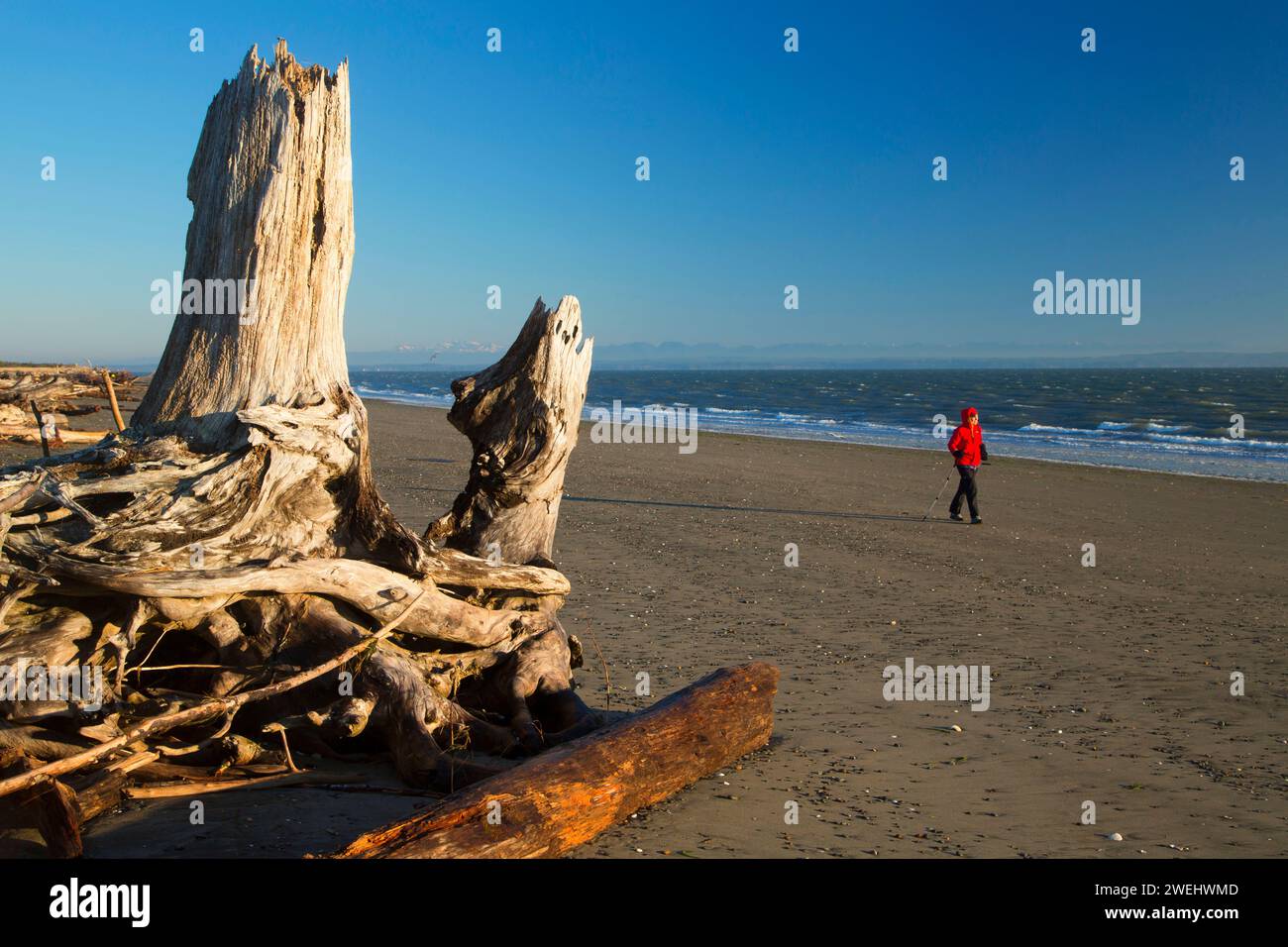 Melden Sie sich am Strand, Damon Point State Park, Washington Stockfoto