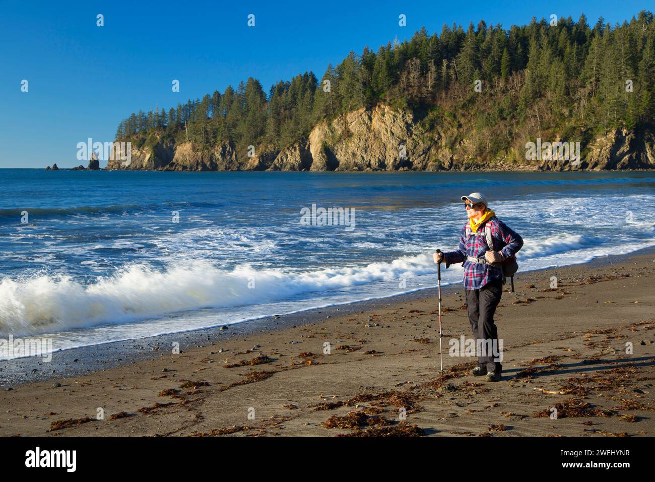 Dritte Strand, Olympic Nationalpark, Washington Stockfoto