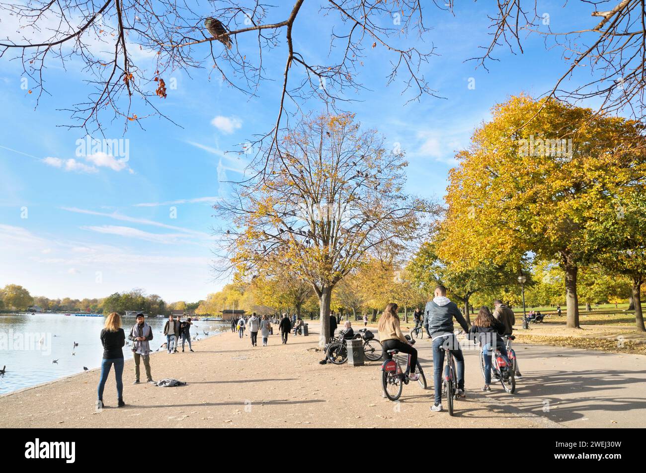 Menschen genießen die Herbstsonne auf dem Fahrrad und zu Fuß neben dem Serpentinsee mit Tauben, die in einem Baum ruhen. Hyde Park, London, Großbritannien. Wandern, Radfahren Stockfoto