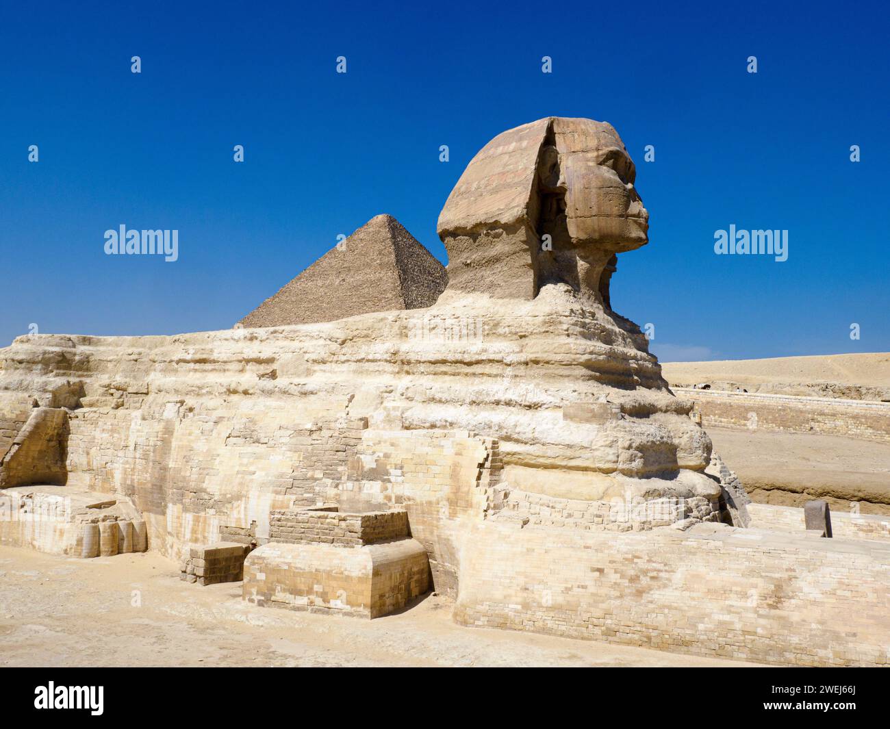 Die große Sphinx von Gizeh in der Nähe der Großen Pyramide von Gizeh, das älteste der sieben Weltwunder, Kairo, Ägypten. Stockfoto