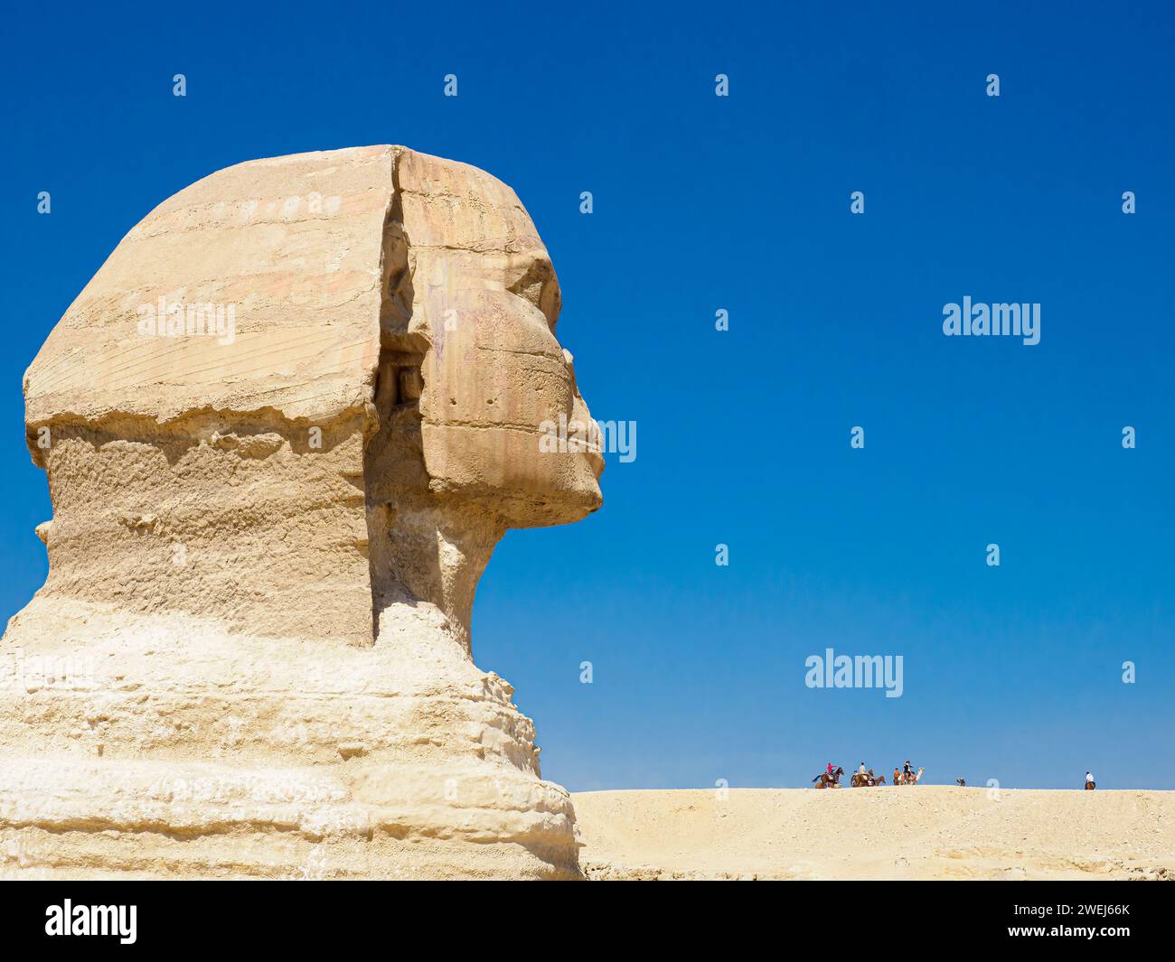 Die große Sphinx von Gizeh in der Nähe der Großen Pyramide von Gizeh, das älteste der sieben Weltwunder, Kairo, Ägypten. Stockfoto