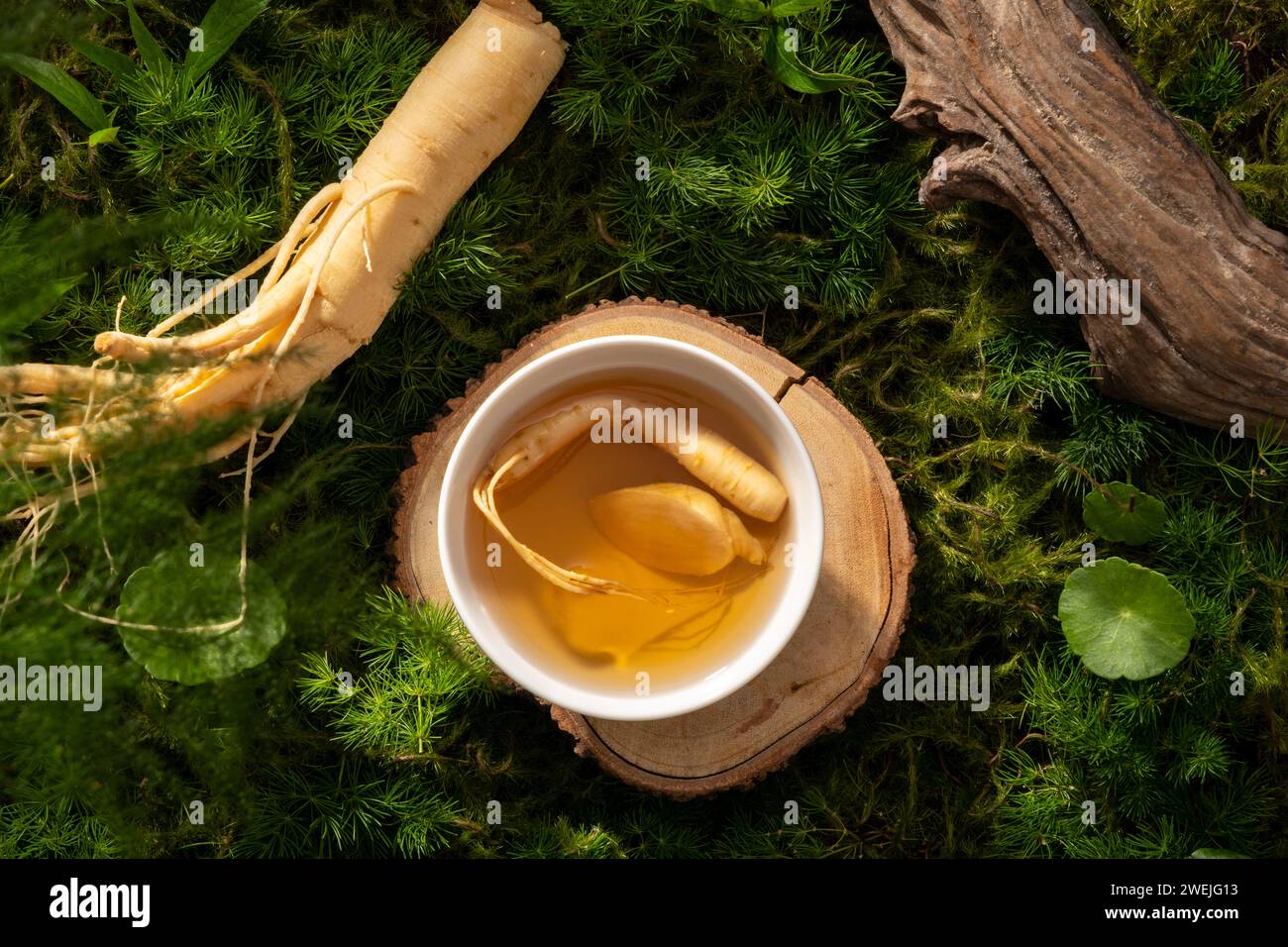 Blick von oben auf eine Schüssel mit Ginseng Tonic auf einer hölzernen Plattform, Ginseng-Wurzeln und getrockneten Zweig, dekoriert auf einem grünen Mooshintergrund. Natürliche Schönheitsszene. Gin Stockfoto