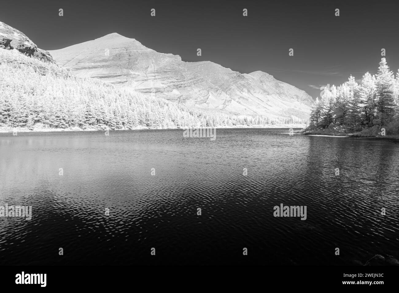 Monochromatisches Bild des Glacier National Park in Infra Red mit einer vollständig umgebauten Kamera, die eine einzigartige Perspektive dieses unglaublichen Parks in Montan zeigt Stockfoto