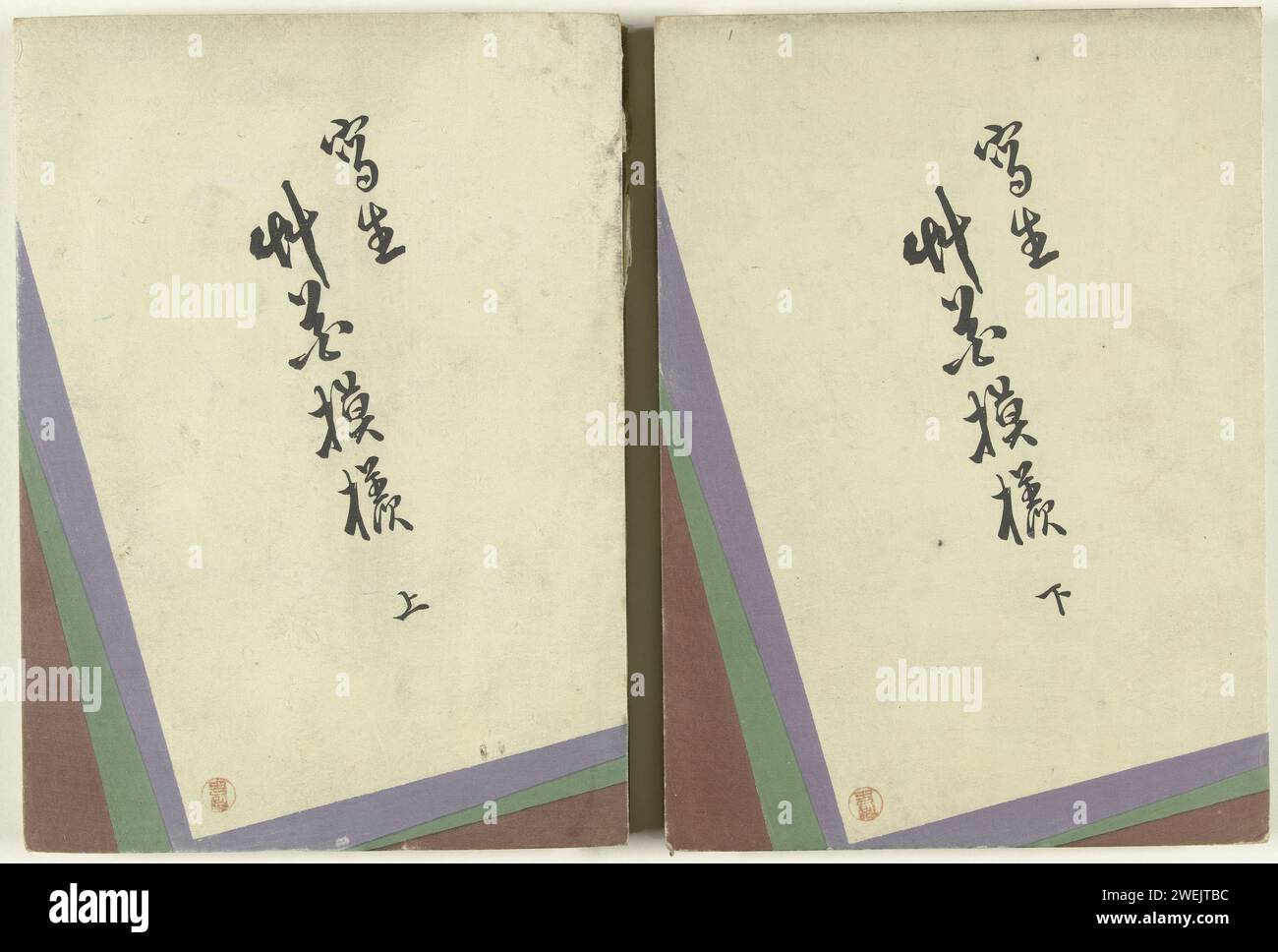 Blumen- und Grasmuster, 1907 Buch zweiteilig (komplett); mit Musterdesigns für Textil. Holzschnitt in Papierfarbe Stockfoto