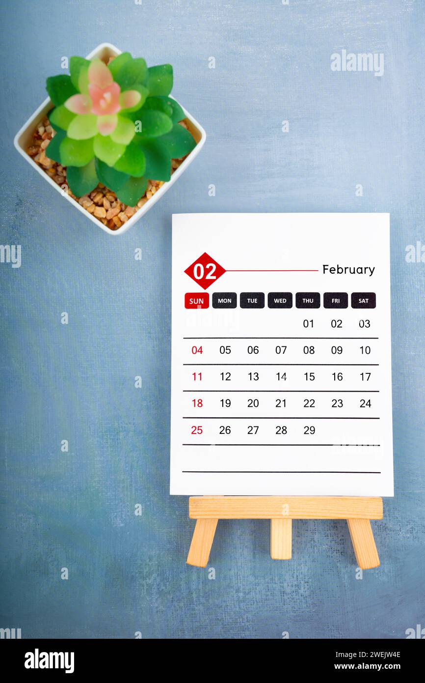 2024. Februar Kalenderseite und Pflanztopf auf blauem hölzernem Hintergrund. Stockfoto