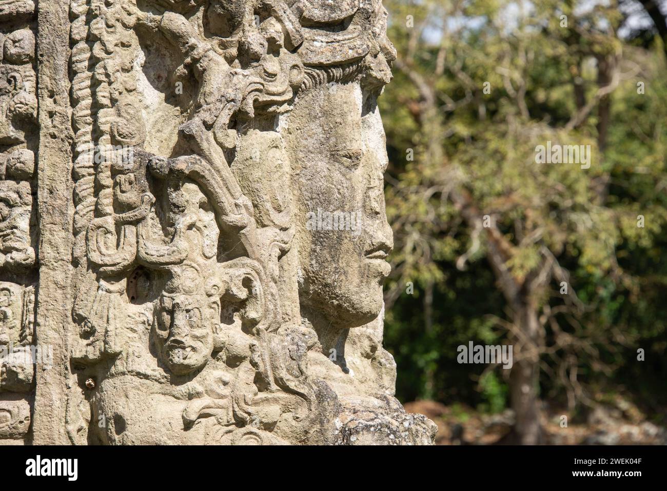 Stela B freistehende Skulptur in den Copan Mayan Ruinen, Copan Ruinas, Honduras Stockfoto