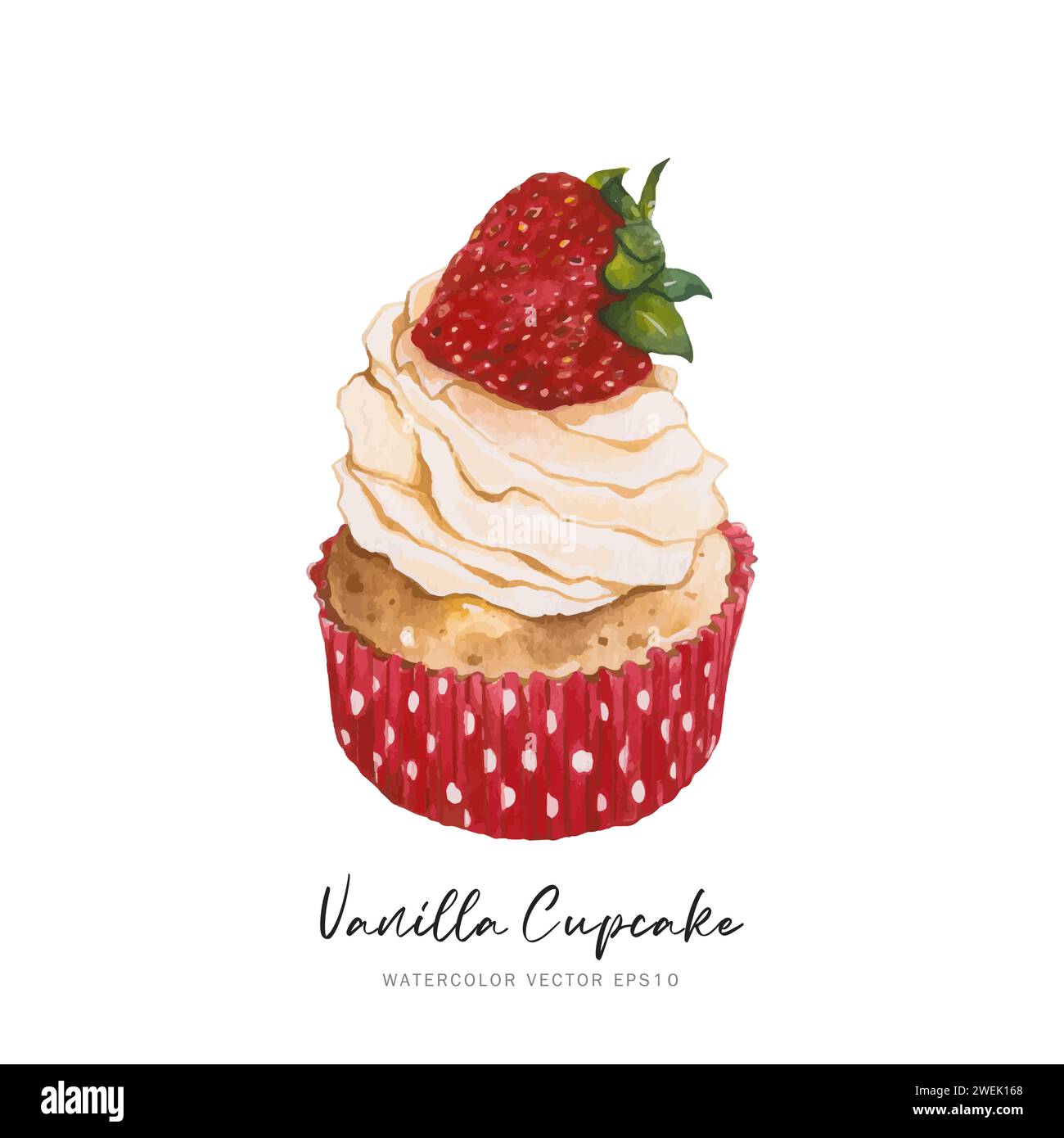 Vanille-Erdbeere-Cupcake-Dessert, Aquarellnahrungsmittelmalerei Vektor-Design isoliert auf weißem Hintergrund Stock Vektor