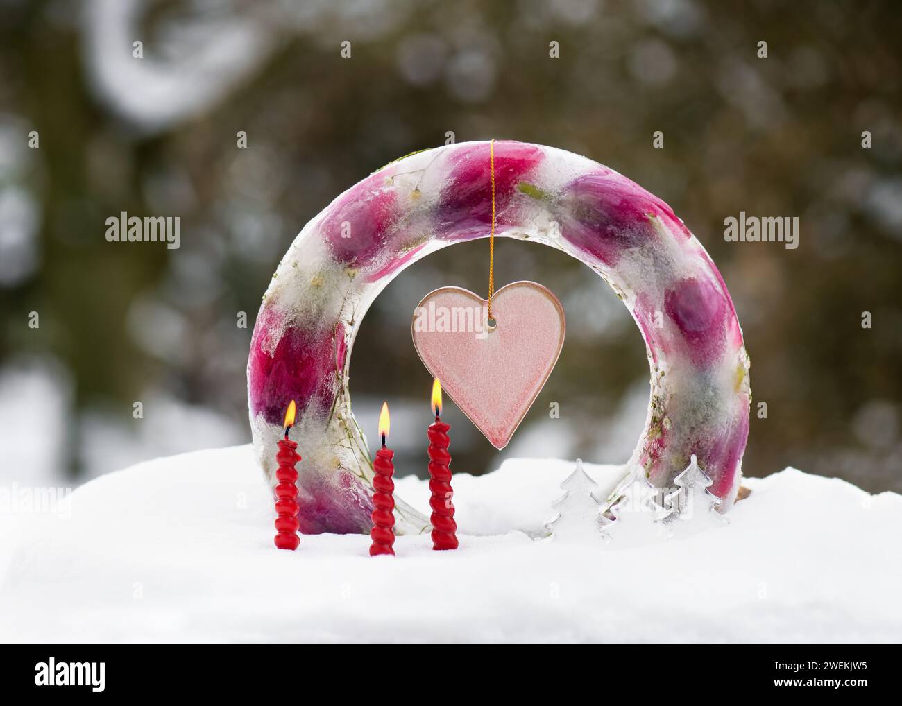 Handgefertigter gefrorener Kranz in Form von Ringkuchen aus Eis, rosa Tulpenblüten mit rosa Herz und brennenden roten Kerzen im Schnee. Stockfoto