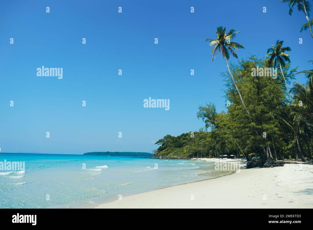 Wunderschöner Strand mit Palmen und türkisfarbenem Meer auf Koh Kood Island, Thailand. Tropischer Meeresstrand mit Sand und Kokospalmen Hintergrund mit klarem blauem Himmel. Su Stockfoto