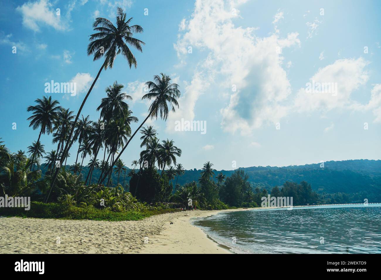Wunderschöner Strand mit Palmen und türkisfarbenem Meer auf Koh Kood Island, Thailand. Tropischer Meeresstrand mit Sand und Kokospalmen Hintergrund mit klarem blauem Himmel. Su Stockfoto