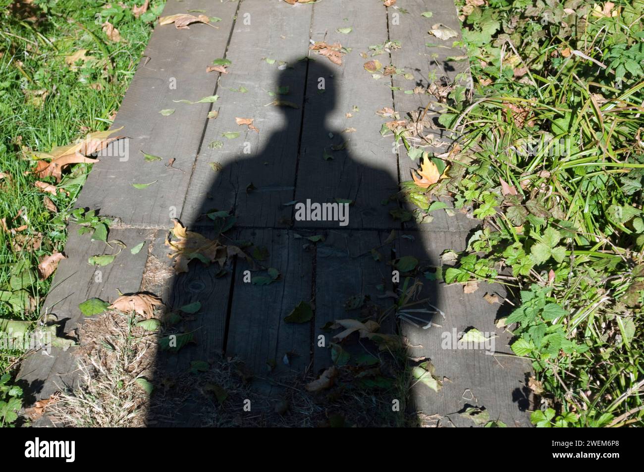 Schatten einer Person auf Holzsteg Stockfoto