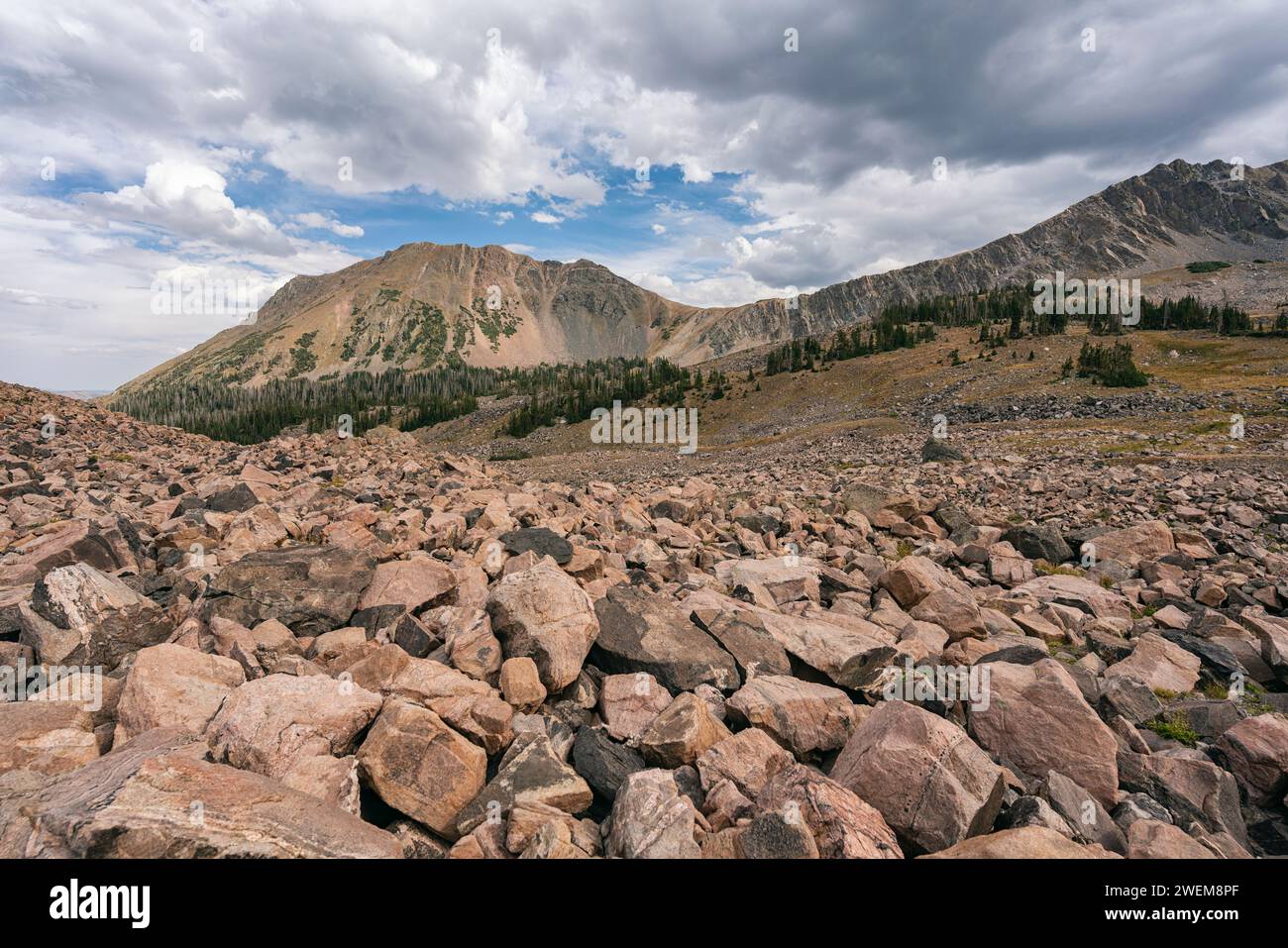 Zerklüftete Landschaft in der Mount Zirkel Wilderness, Colorado Stockfoto
