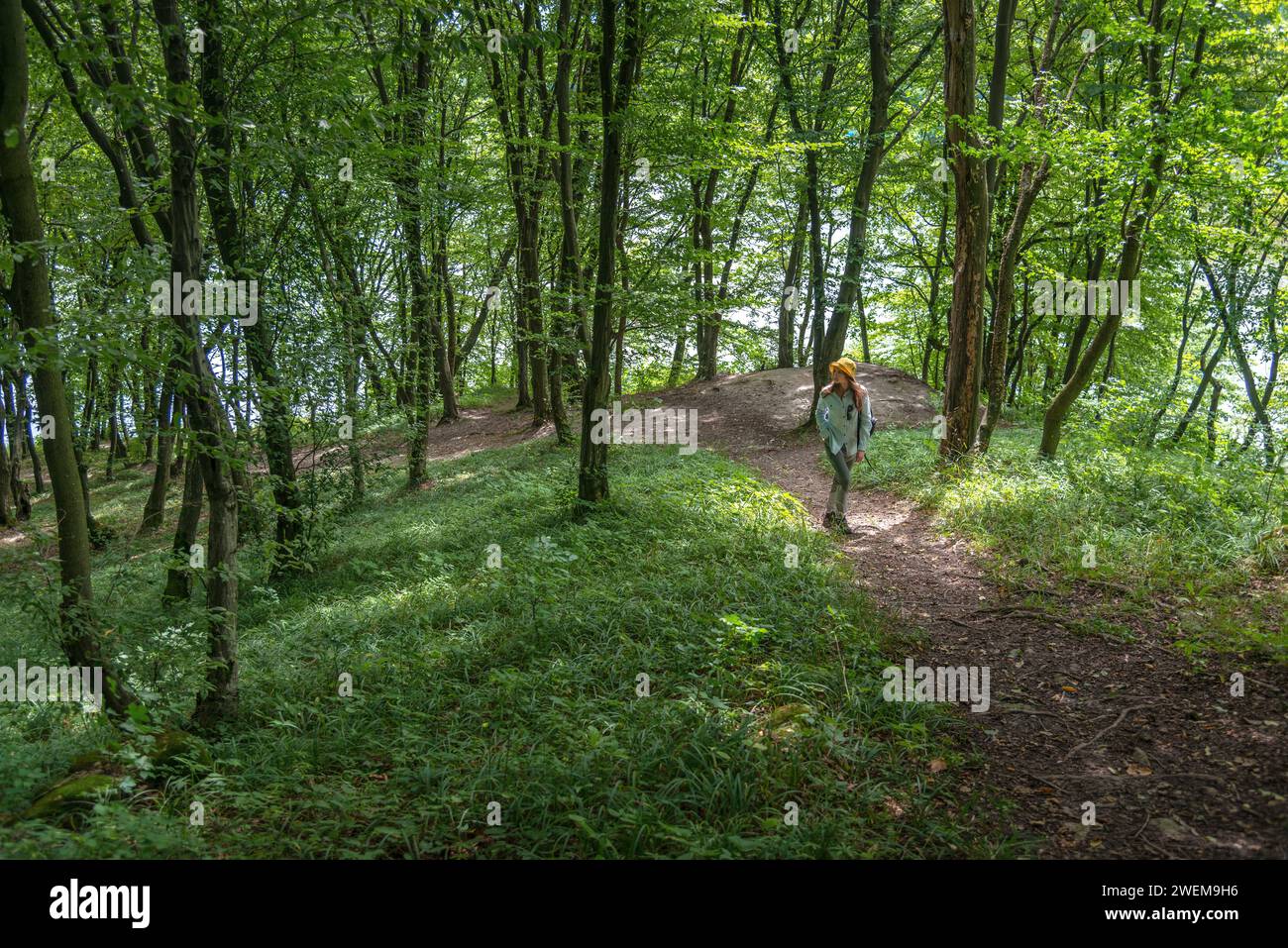 Junge Frau, die an einem sonnigen Tag in einem Wald spaziert Stockfoto