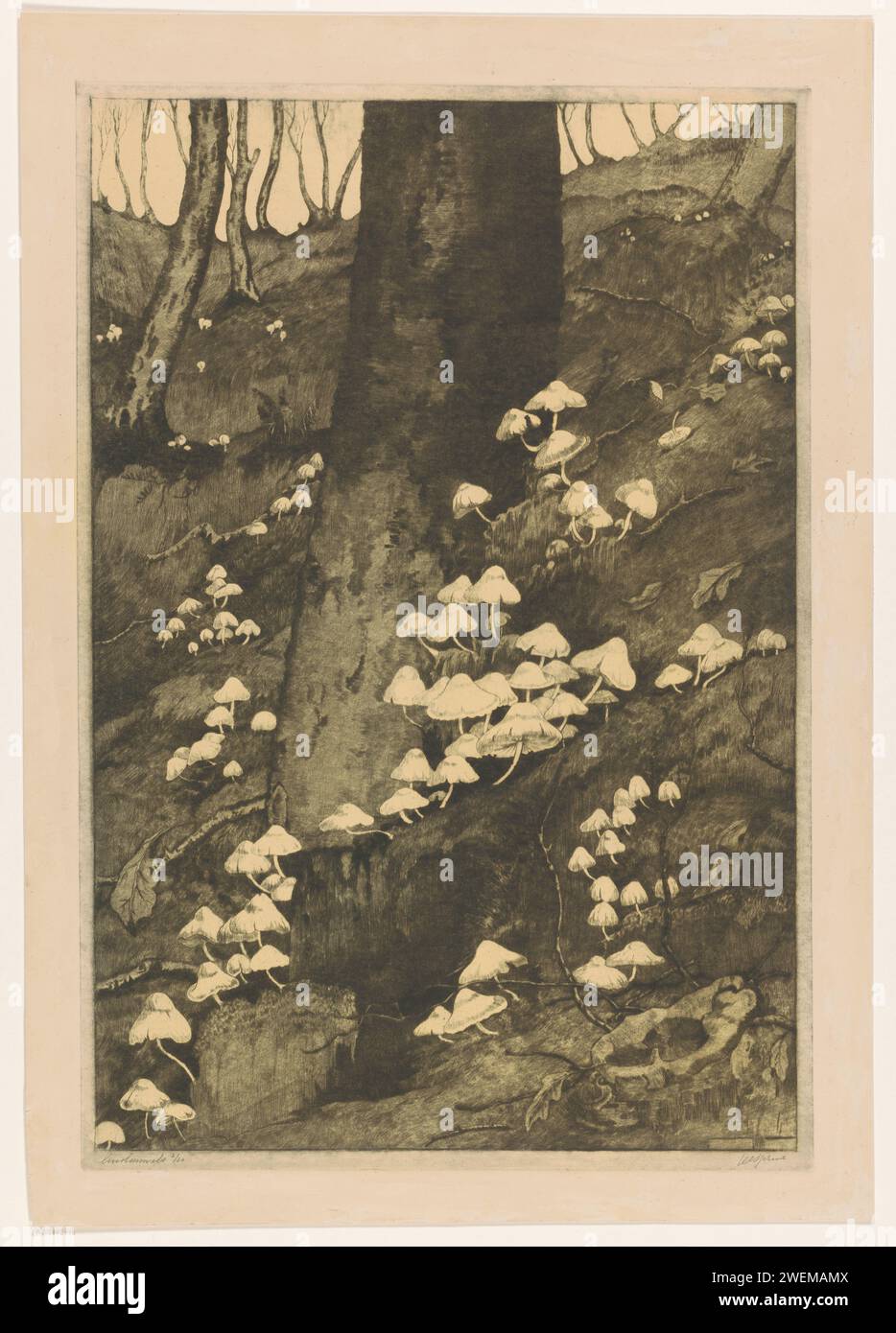 Pilze in einem Wald, H.C. Spruit, 1926 Druckpapier Herbst, Herbst, 'Autumnus'; 'Autunno' (Ripa). Pilze. Wald, Holz Stockfoto