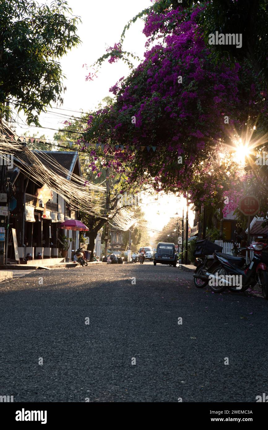 Gemütliche Straße in Laos, wo die Sonne durch die riesige Bugambilia kommt Stockfoto