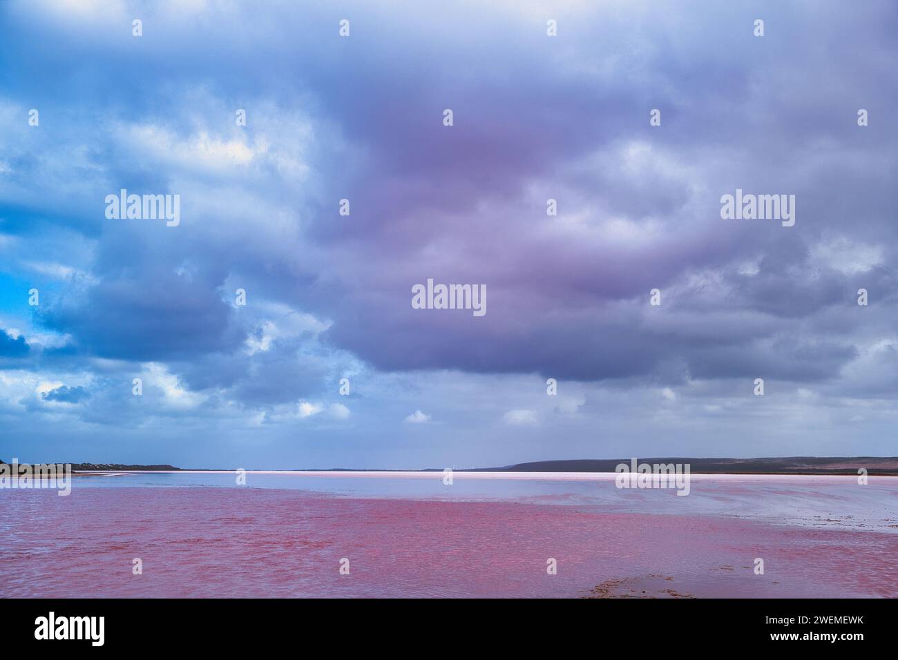 Der extrem salzige Pink Lake (Hutt Lagoon) in der Nähe von Port Gregory, Kalbarri, Coral Coast, Western Australia an einem bewölkten Sommertag Stockfoto