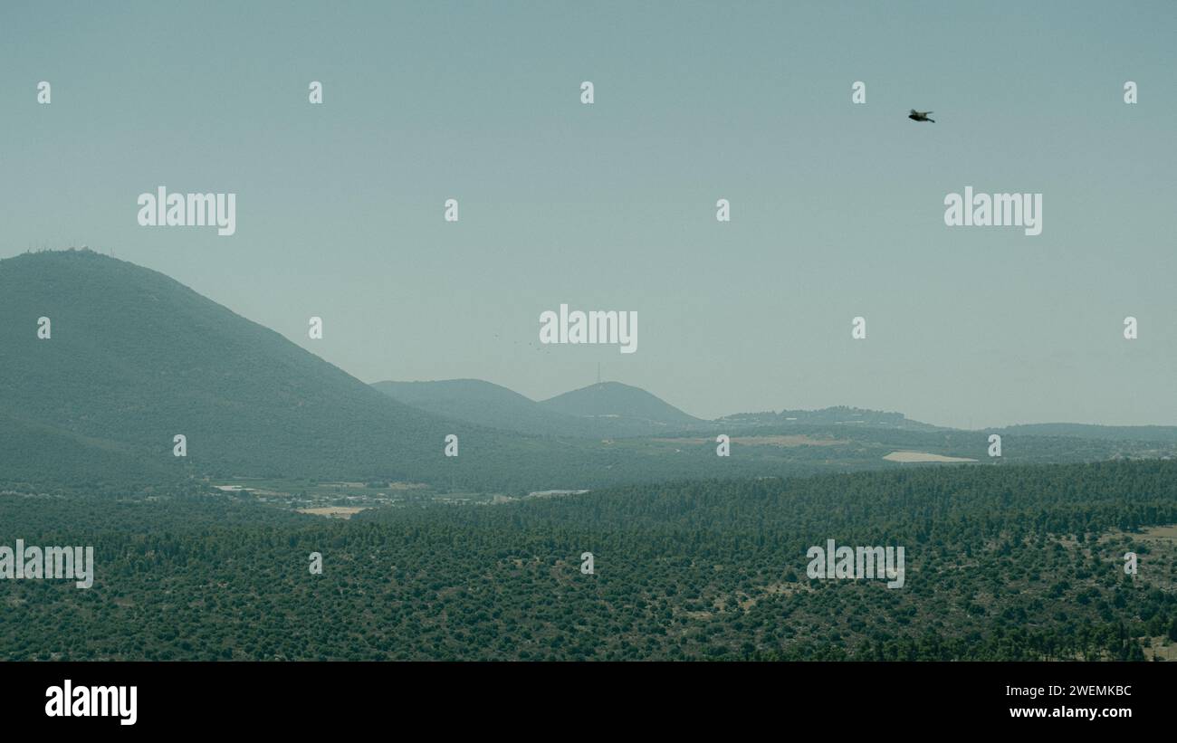 Bergkette in der Ferne mit Vogel-Vorbeiflug Stockfoto