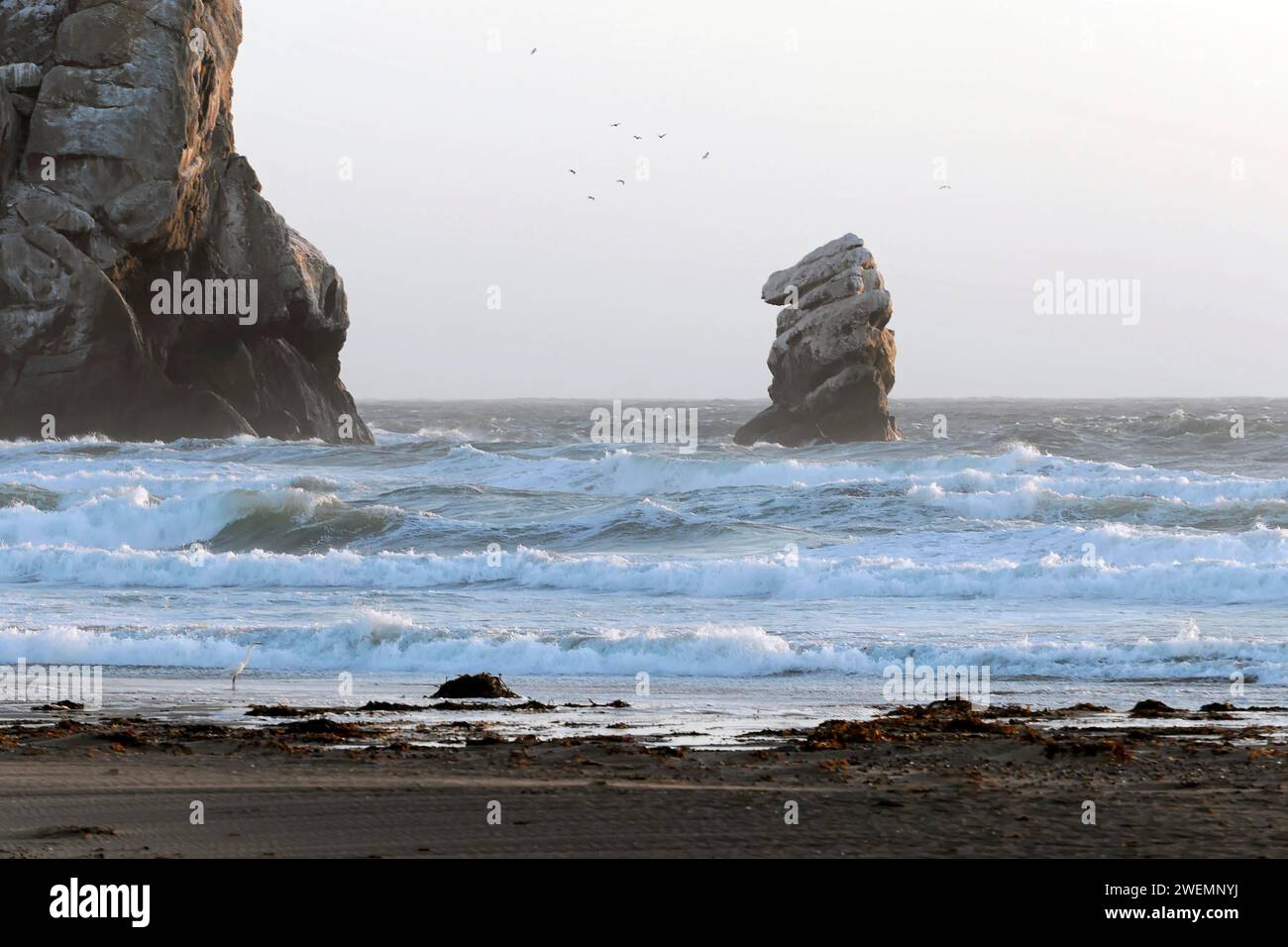 Am Strand in der Nähe von Morro Bay, Pazifik, Kalifornien, USA Stockfoto