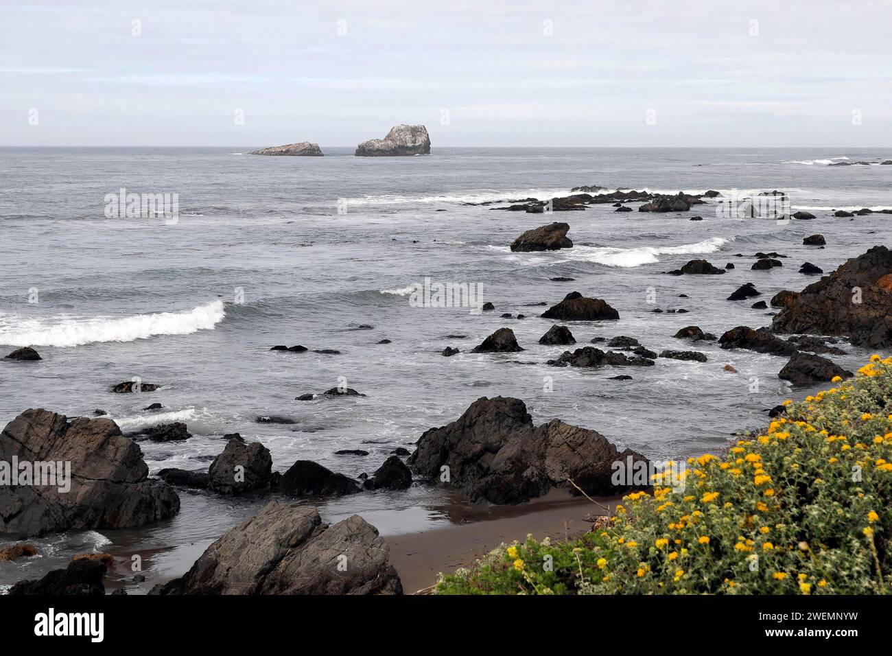 Küste in der Nähe von Monterey Bay, Pazifik, Kalifornien, USA Stockfoto