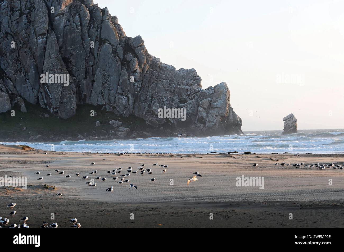 Am Strand in der Nähe von Morro Bay, Pazifik, Kalifornien, USA, Nordamerika Stockfoto