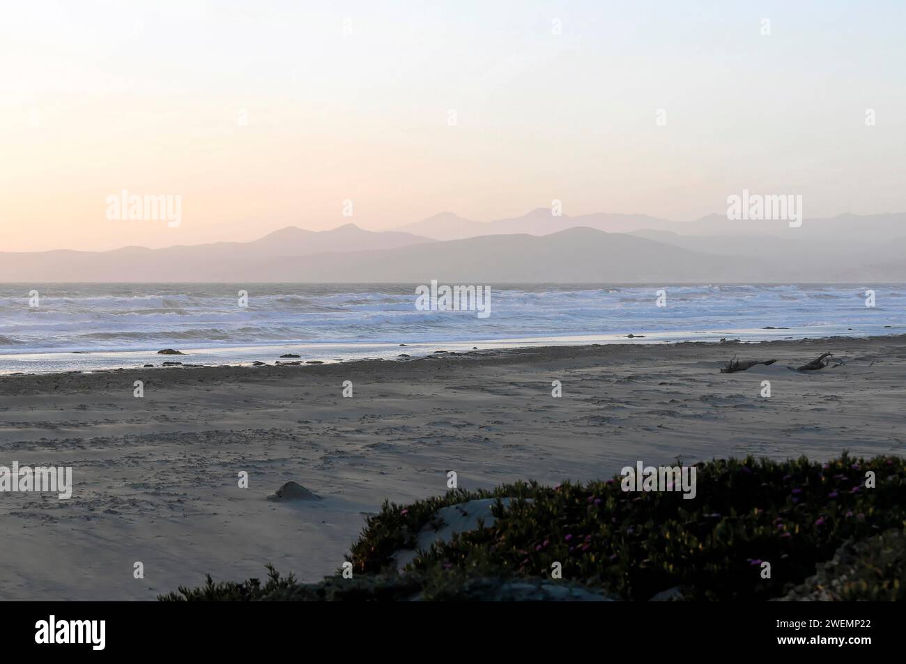 Am Strand in der Nähe von Morro Bay, Pazifik, Kalifornien, USA Stockfoto