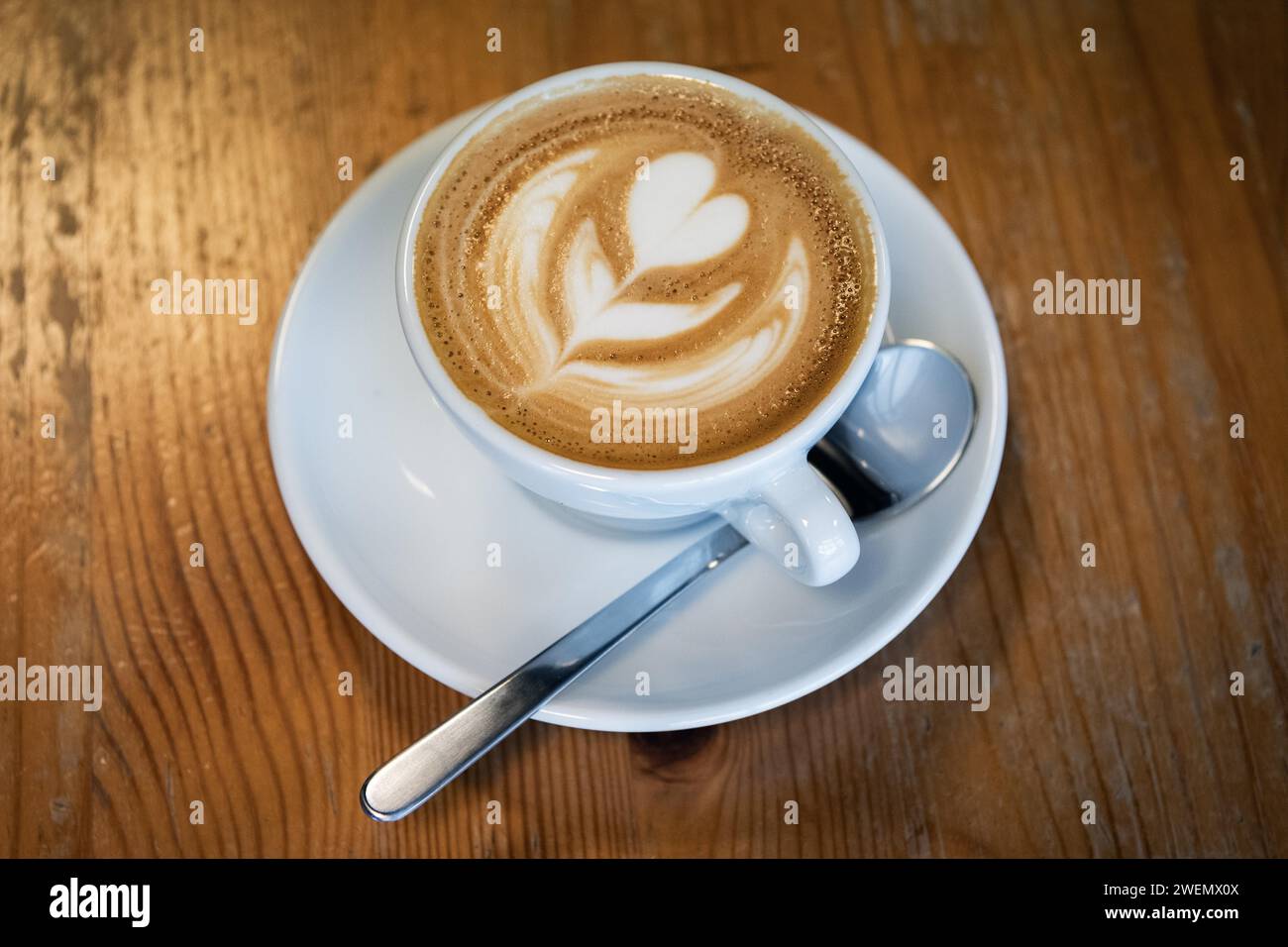 Cappuccino, Blume aus Milchschaum, Reykjavik, Island Stockfoto