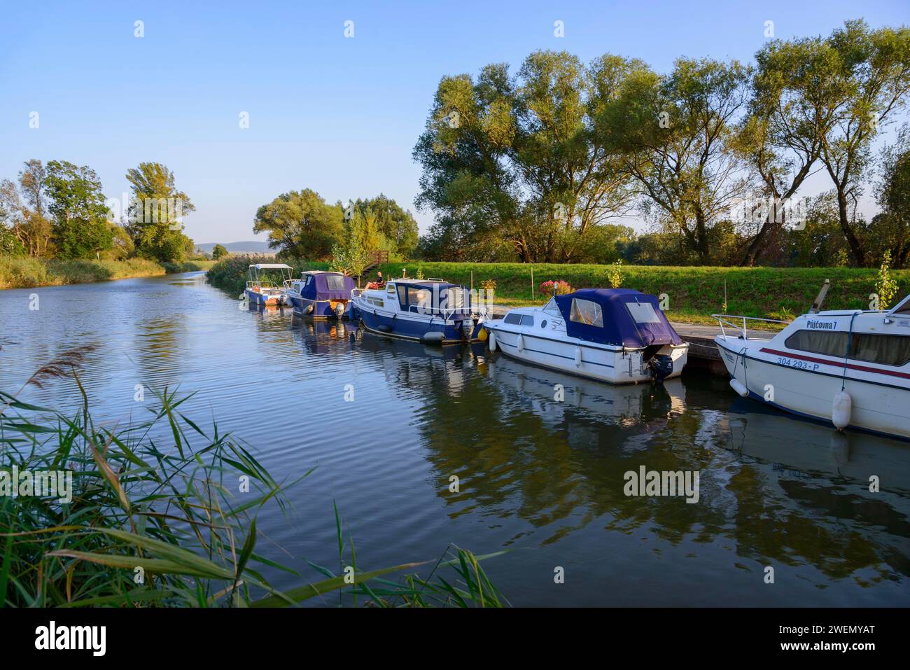 Mehrere Boote liegen entlang eines ruhigen Flusses mit umliegenden Bäumen, Yachthafen, Batuv kanal, Bata Canal, Skalica, Skalica, Trnavsky kraj, Slowakei Stockfoto