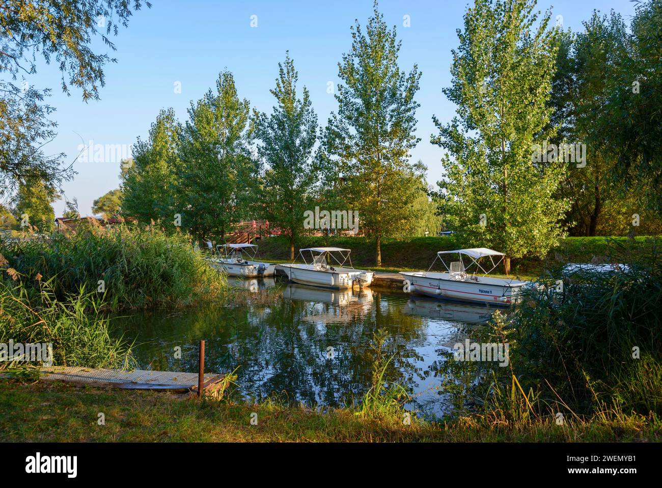 Die Szene zeigt Boote auf einem ruhigen Fluss umgeben von Bäumen im warmen Abendlicht, Marina, Batuv kanal, Bata Canal, Skalica, Skalica, Trnavsky kraj Stockfoto