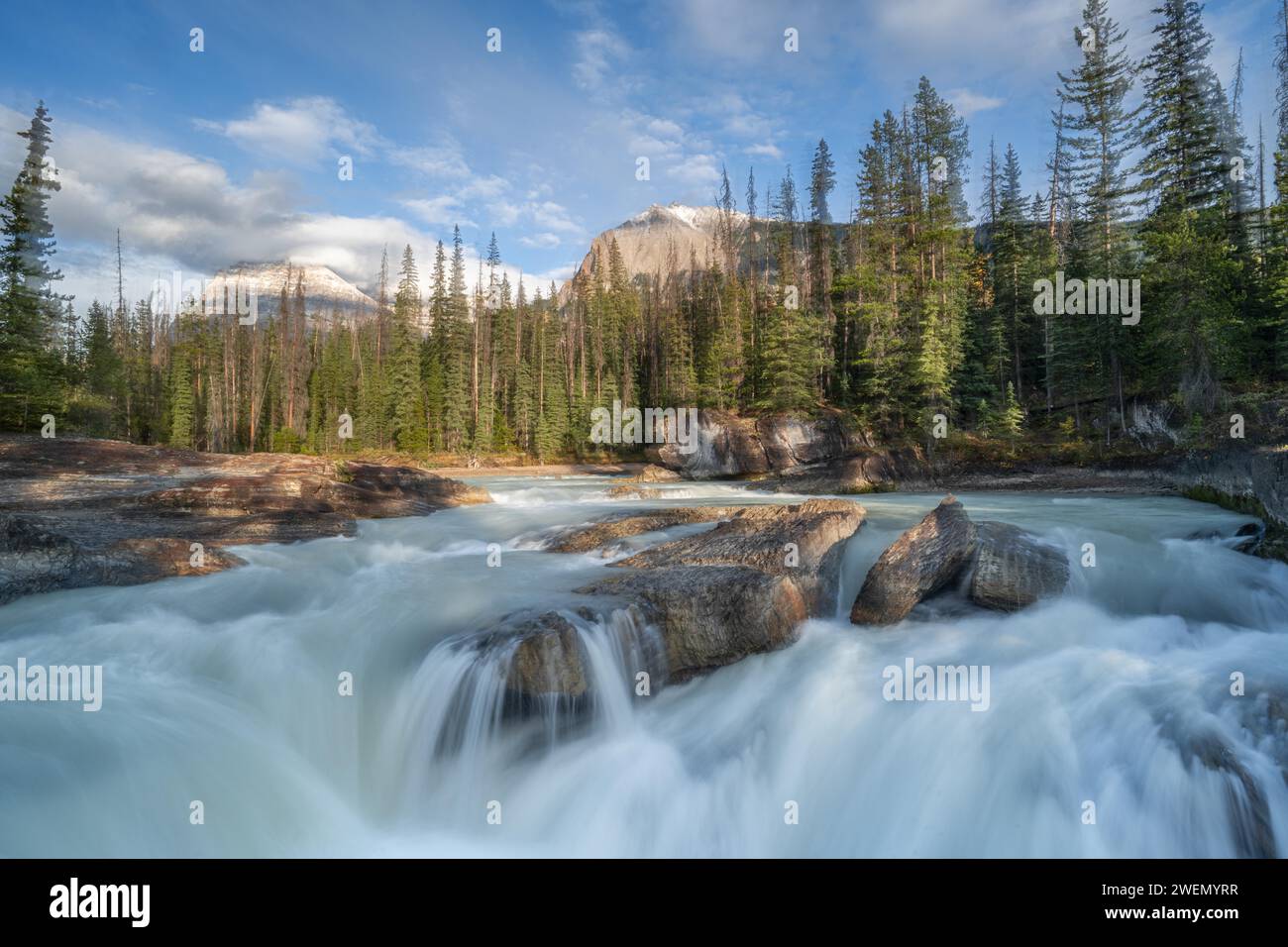 River and Fall Canadian Rocky Mountains, Alberta Kanada Stockfoto