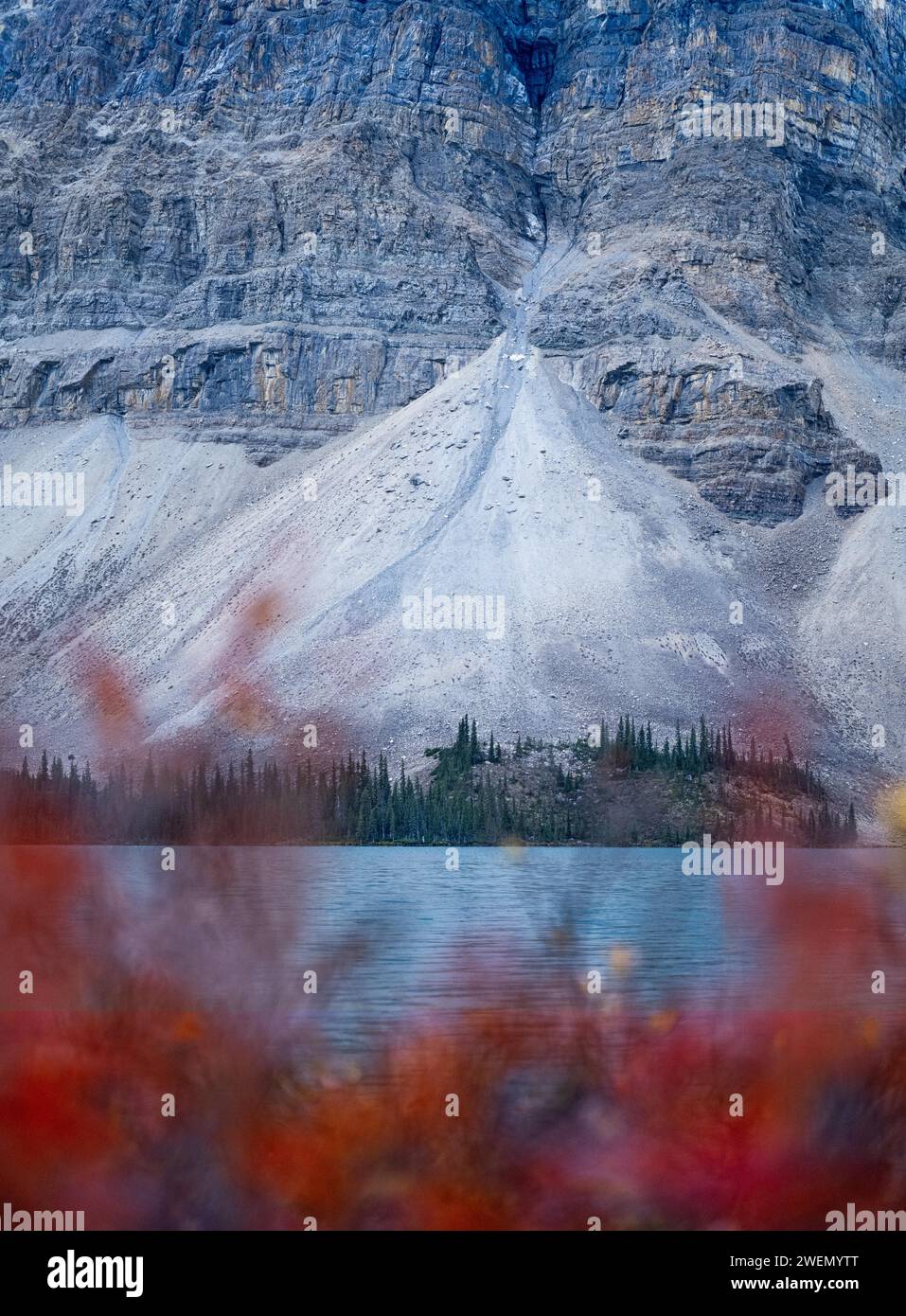 Bow Lake Canadian Rocky Mountains, Alberta Kanada Stockfoto