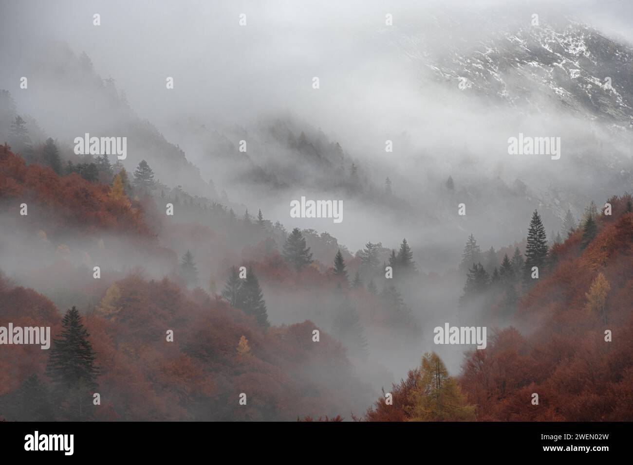 Blick auf herbstliche Farben in den italienischen Bergen, Valle Vigezzo Italien Stockfoto