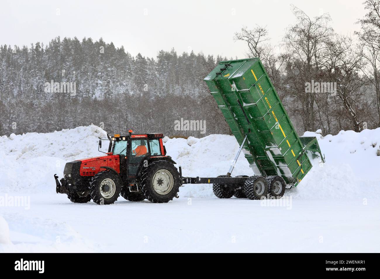 Der rote Valtra Valmet 8550-Traktor entlädt die Schneeladung des Anhängers von den Straßen in der kommunalen Schneefangzone. Salo, Finnland. Januar 2024. Stockfoto