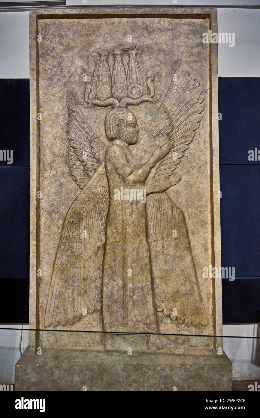 Antike Steintafel mit Basrelief einer geflügelten Figur (auch bekannt als Cyrus-Figur), gefunden in Pasargadae und ausgestellt im Persepolis Museum. Persepolis, Iran. Stockfoto