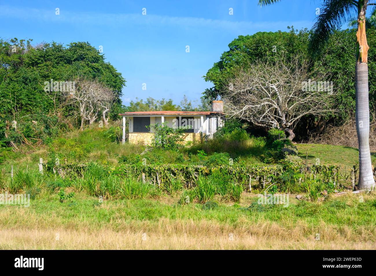 Bauernhaus oder Bauernhaus in einer ländlichen Gegend, kuba Stockfoto