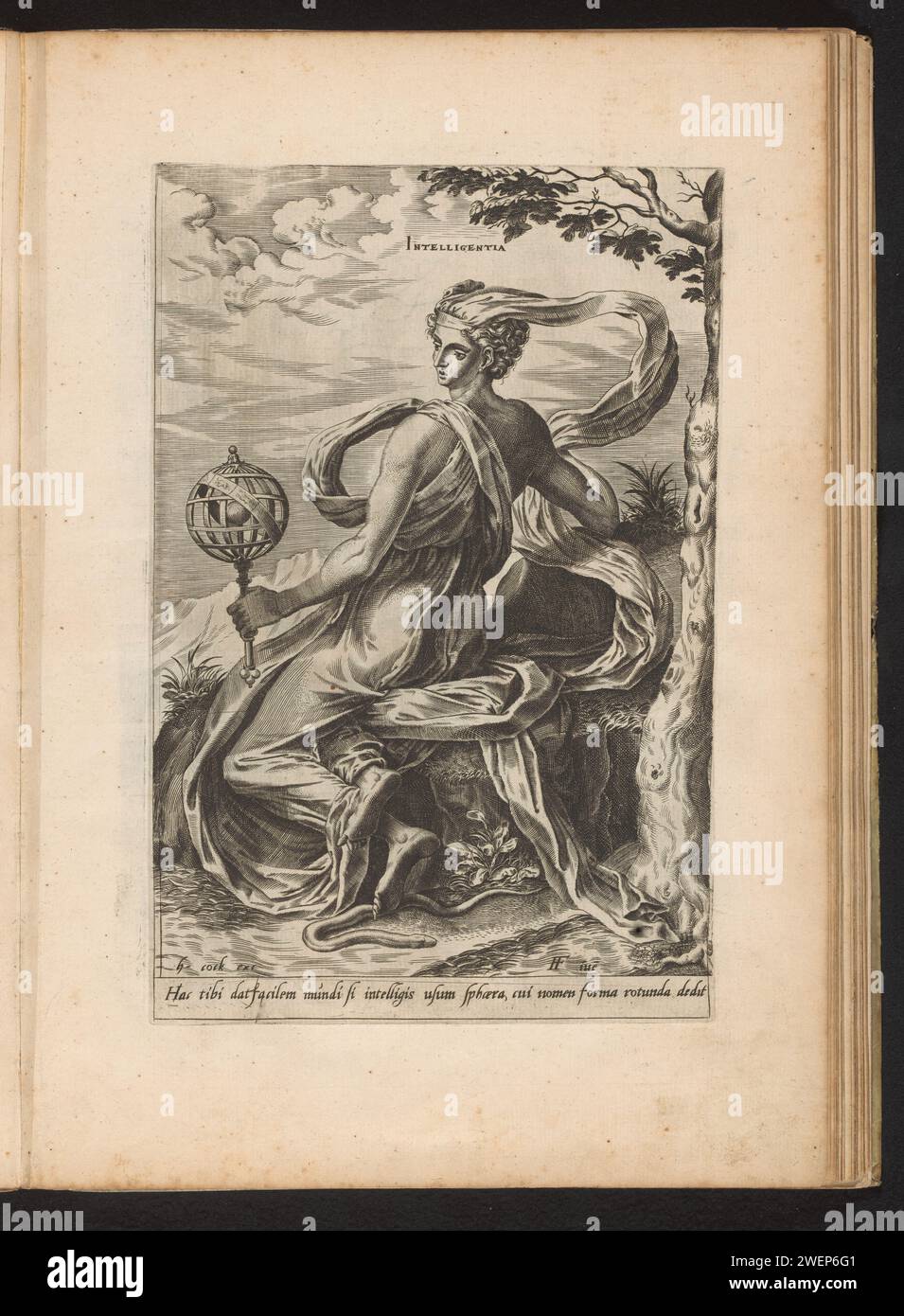 Intelligenz, Cornelis Cort, nach frans Blume (1), 1560 Druck die Personifikation der Intelligenz ist mit einem Arillarium in der Hand unter einem Baum bedeckt. Eine Schlange, Symbol für den Verstand, windet sich zu Füßen. Dieser Ausdruck ist Teil eines Albums. Papierstich Intellekt, Intelligenz; 'Intelletto', 'Intelligenza' (Ripa) (+ abstraktes Konzept dargestellt durch weibliche Figur). armillarsphäre, Skelett Himmelskugel Stockfoto