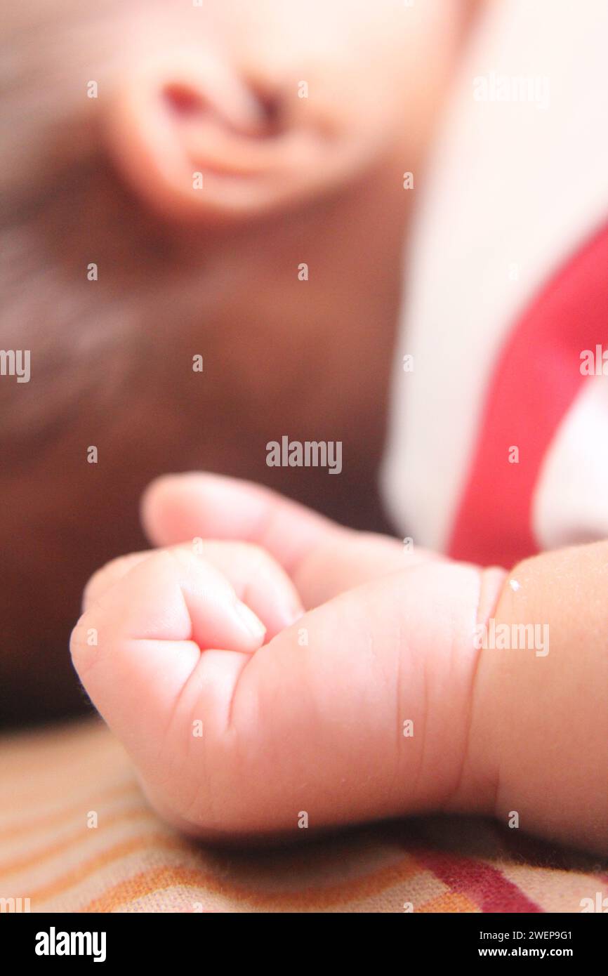 Ein entzückendes Kleinkind liegt neben einer Person, die liebevoll ihre winzigen Hände greift Stockfoto