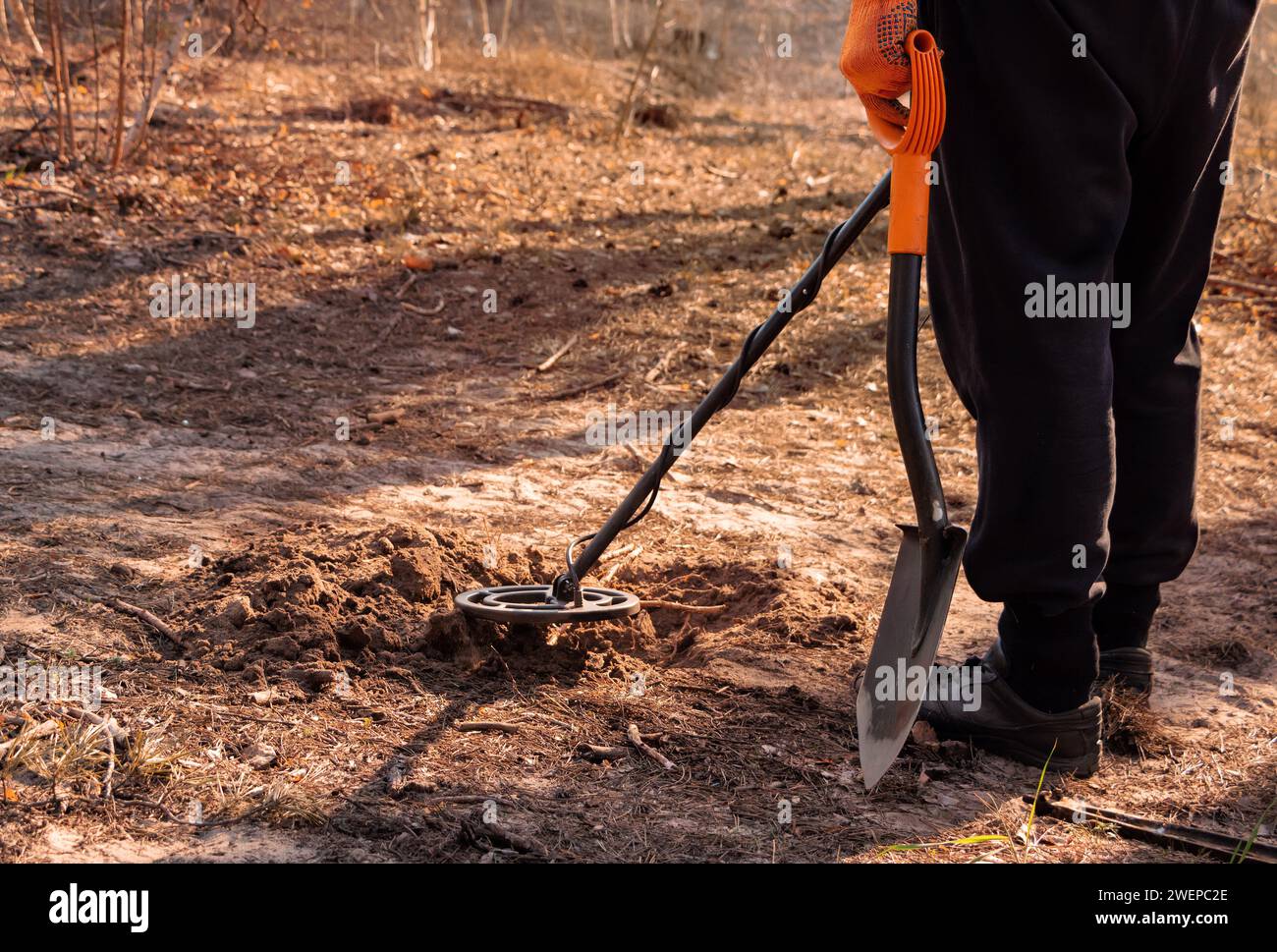 Ein Mann mit einem Metalldetektor und einer Schaufel sucht einen Schatz im Wald. Stockfoto