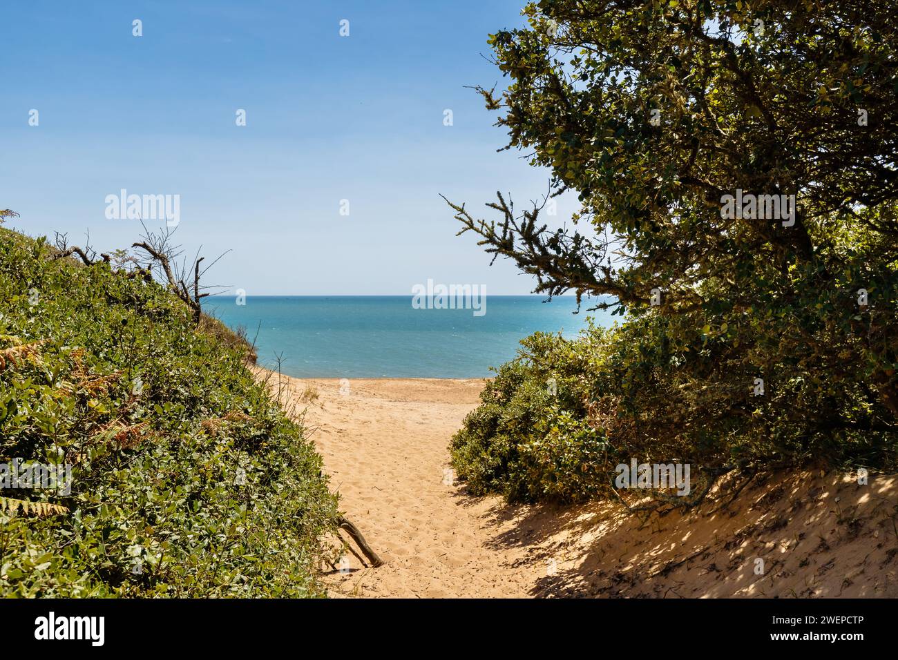 Blick auf den Strand von La Mine in Jard sur Mer, Frankreich an einem Sommertag, Vendée, Frankreich Stockfoto