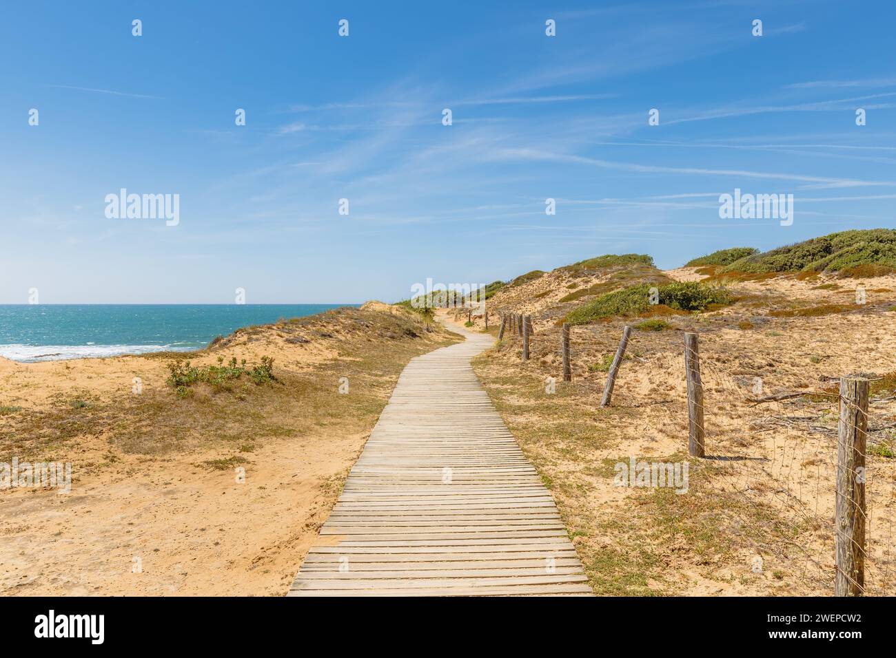 Blick auf den Strand Pointe du Payre, Jard sur Mer, Frankreich an einem Sommertag, Vendée, Frankreich Stockfoto