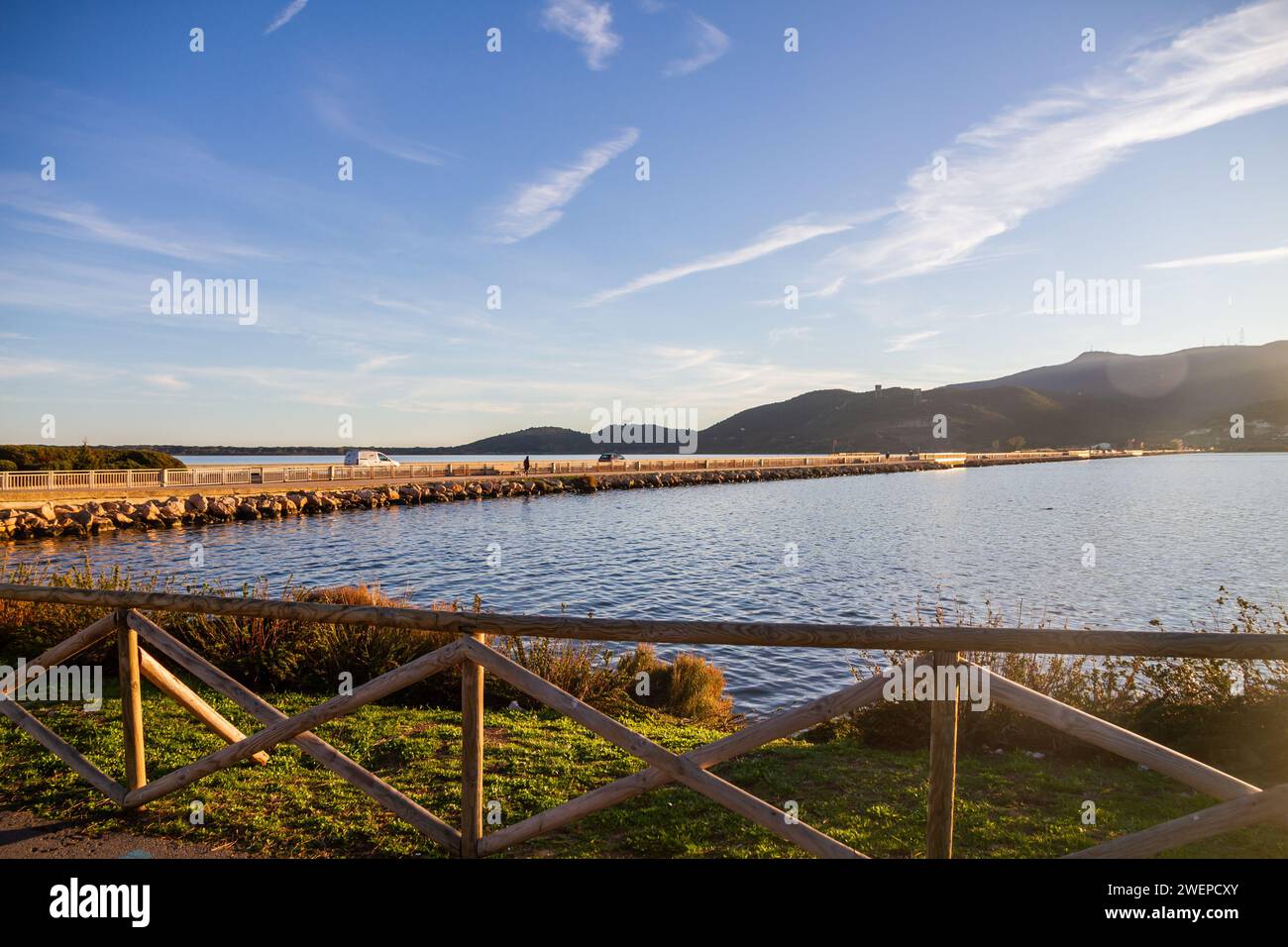 Siamo sulla laguna di orbetello, in der toskana, Taube si affacciano famose Specie animale, tra cui i i fenicotteri rosa, siamo a 2 passi da Monte Argentario Stockfoto