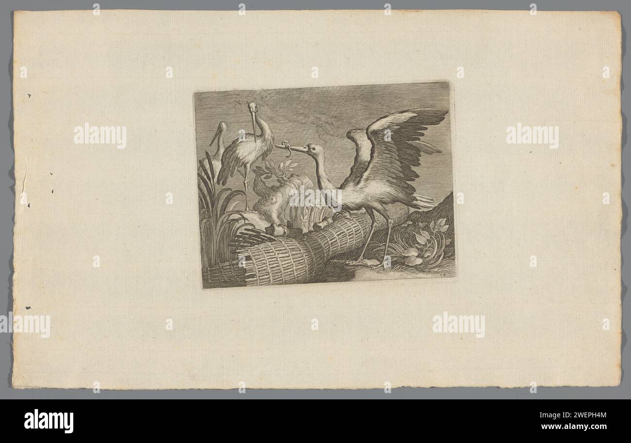 Störche, Boëtius Adamsz. Bolswert, nach Abraham Bloemaert, ca. 1717 - 1732 Druck rechts unten: 14. Papiergravur von Ufer- und Watvögeln: Storch Stockfoto