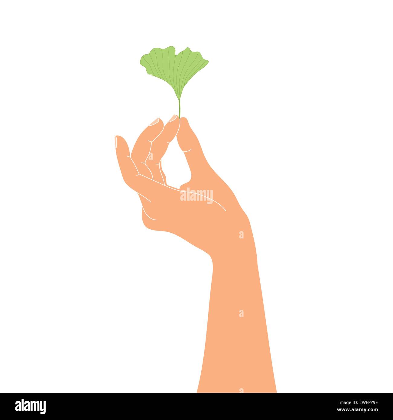 Menschliche Hand hält Ginkgoblatt. Vektorabbildung Stock Vektor