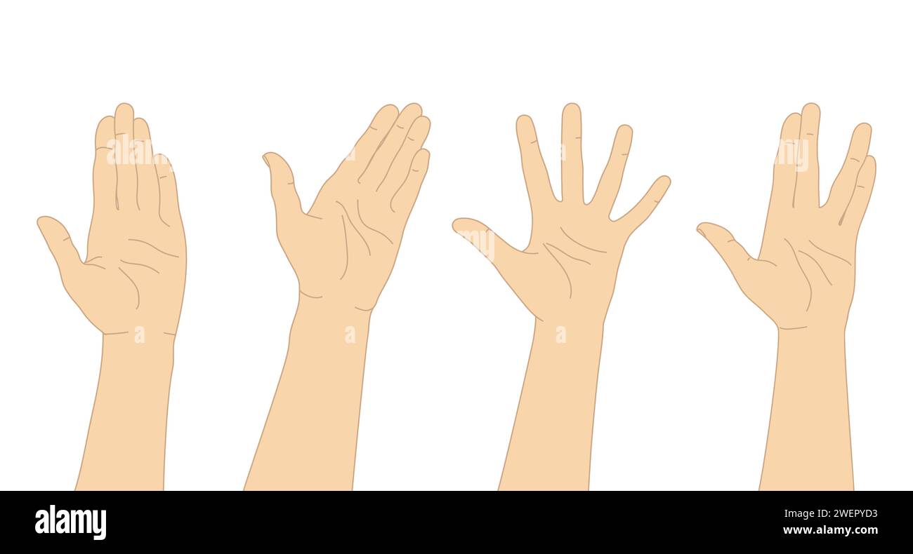 Set handgezogener menschlicher Hände. Handhandflächen mit verschiedenen Gesten. Vektorabbildung Stock Vektor