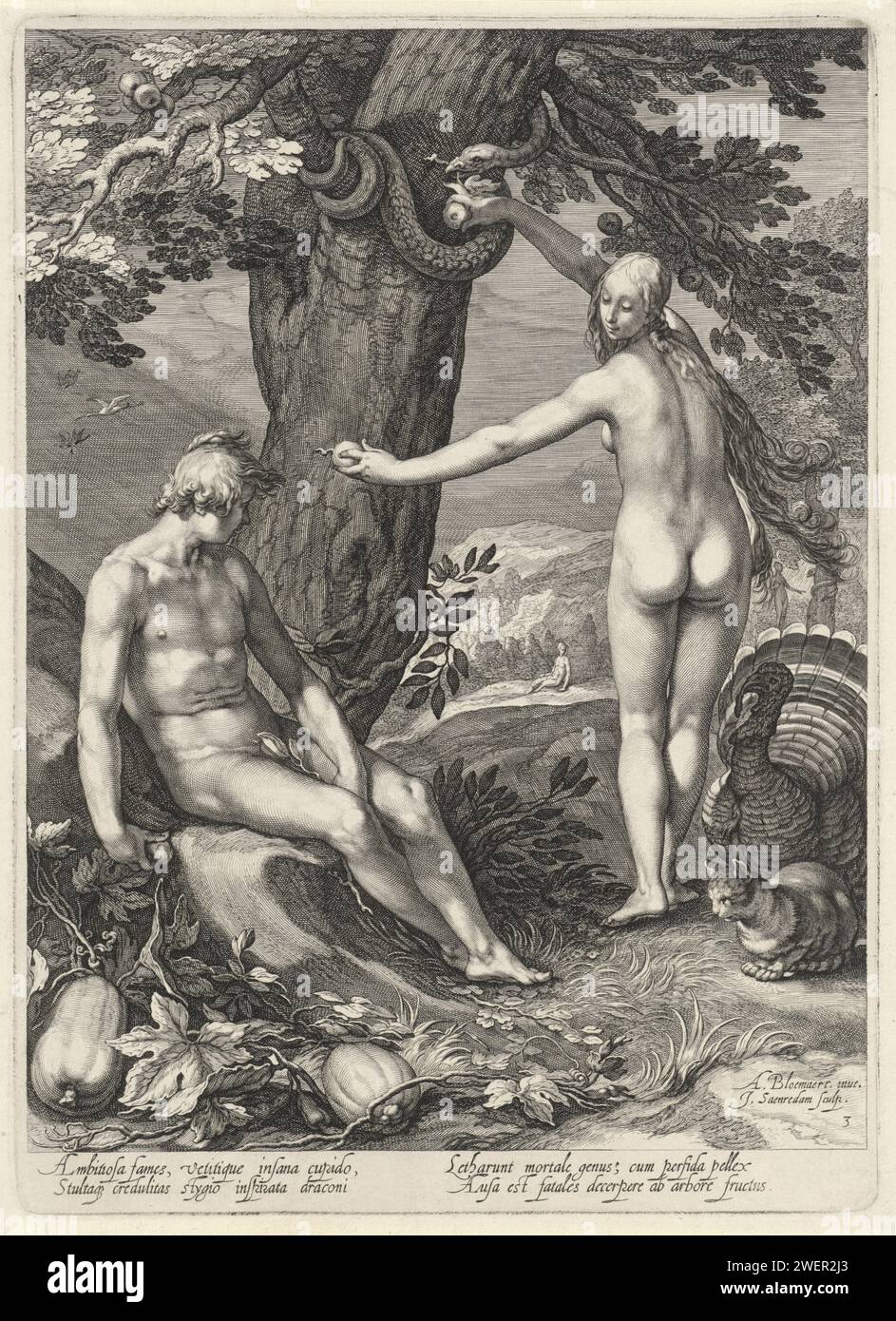 Fall, Jan Saenredam, nach Abraham Bloemaert, 1604 Druck Eva bietet Adam einen Apfel aus dem Baum der Erkenntnis von gut und Böse an. Um den Stamm des Baumes herum befindet sich eine zerknitterte Schlange, die Eva einen weiteren Apfel liefert. Im Hintergrund wird Eva von der Schlange verführt. Papiergravur Verführung und Fall (Szenen mit Adam und Eva). Eva bietet Adam gleichzeitig etwas von der Frucht an und nimmt etwas mehr von der Schlange (oder dem Baum). walker- und Laufvögel: truthahn. Kat. Die Schlange versucht, Eve davon zu überzeugen, etwas von der Frucht zu nehmen (in der Regel einen Apfel) Stockfoto