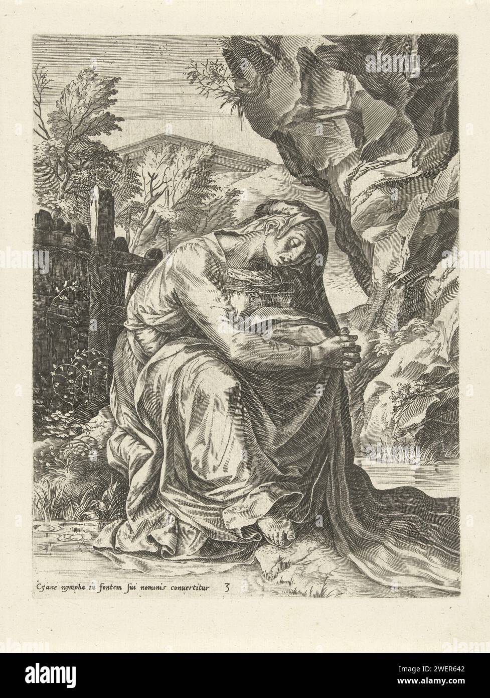 Cyane verwandelt sich in einen Fluss, Cornelis Cort, nachdem Frans Floris (I), 1565 gedruckt die Nymphe Cyane, ein Freund von Proserpina, aus Traurigkeit über den Raub von Proserpina in eine Quelle eines Flusses verwandelt. Der Papierstich Cyane verwandelte sich in einen Brunnen: Wenn Pluto die Entführung von Proserpina verhindern will, wird die Nymphe Cyane in einen Brunnen verwandelt (Ovid, Metamorphoses V 411) Stockfoto